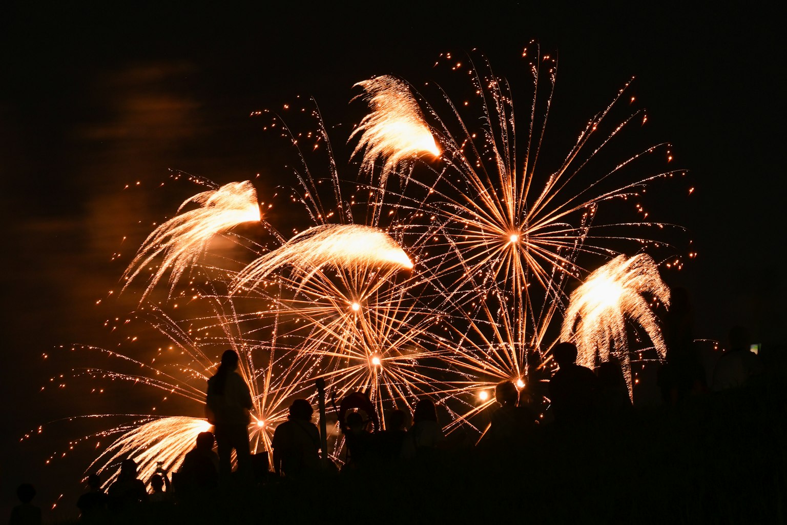 Siluetas de espectadores contra fuegos artificiales vibrantes en el cielo nocturno
