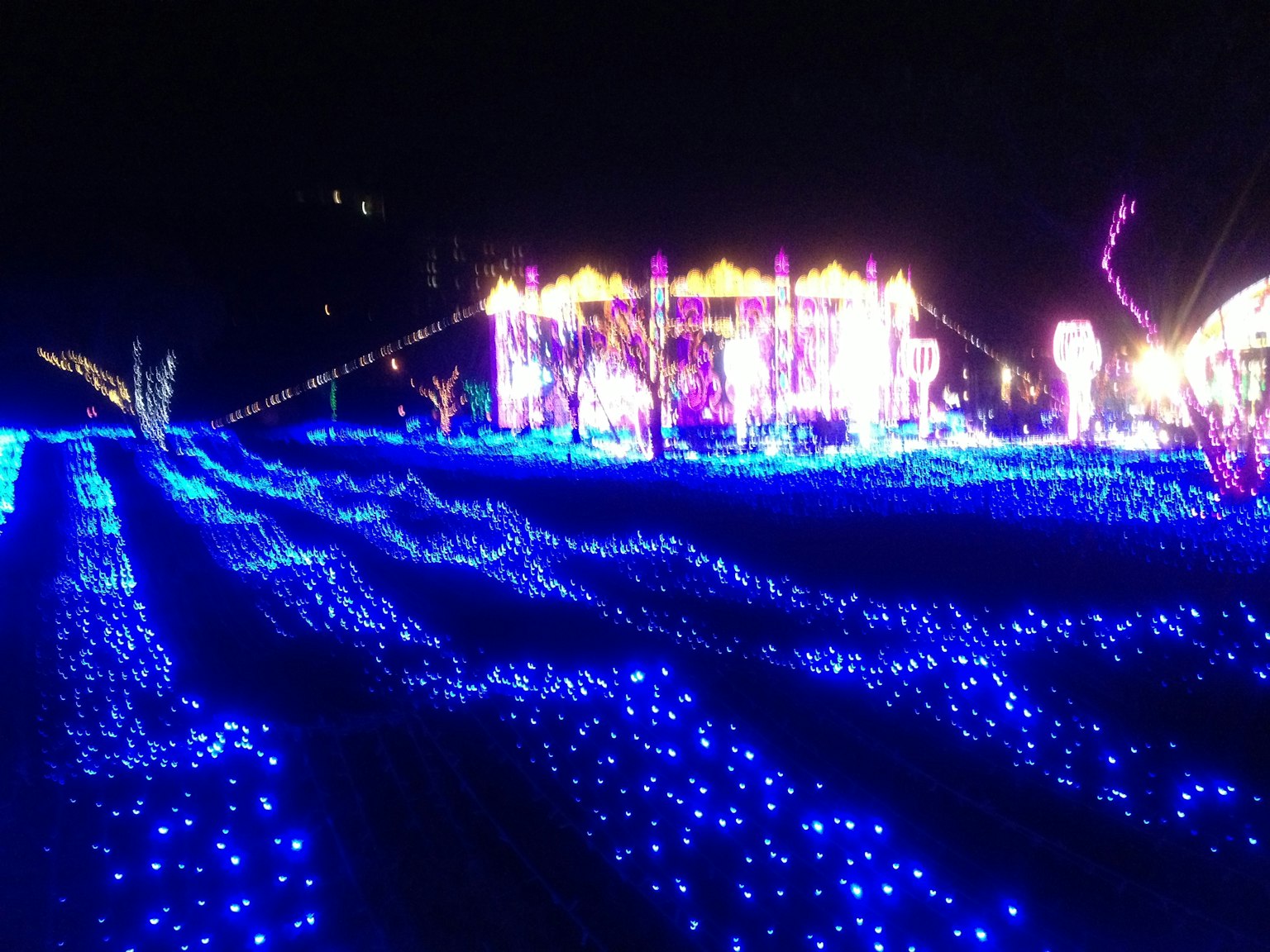 夜间蓝色灯光装饰的广阔景观和多彩的展示