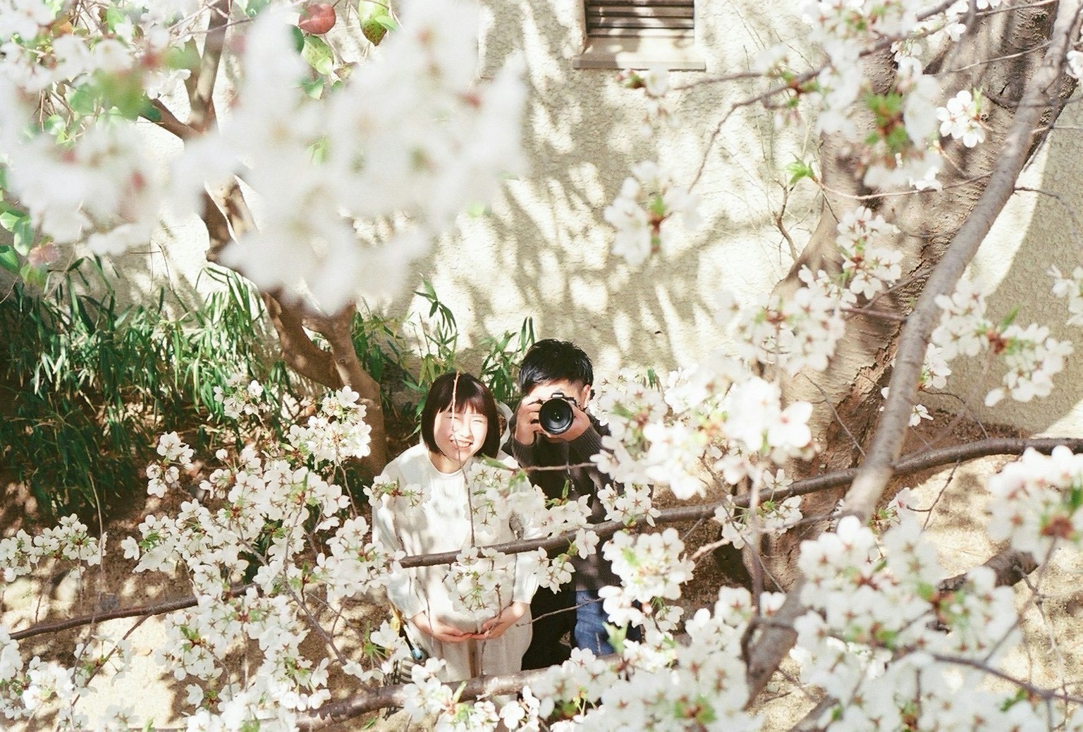 桜の花に囲まれた二人の人物がカメラを持っている写真