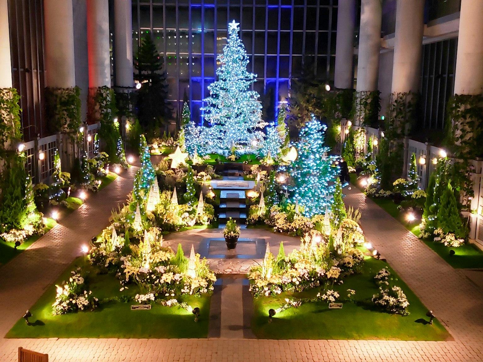Schöner Weihnachtsbaum und dekorierter Garten bei Nacht