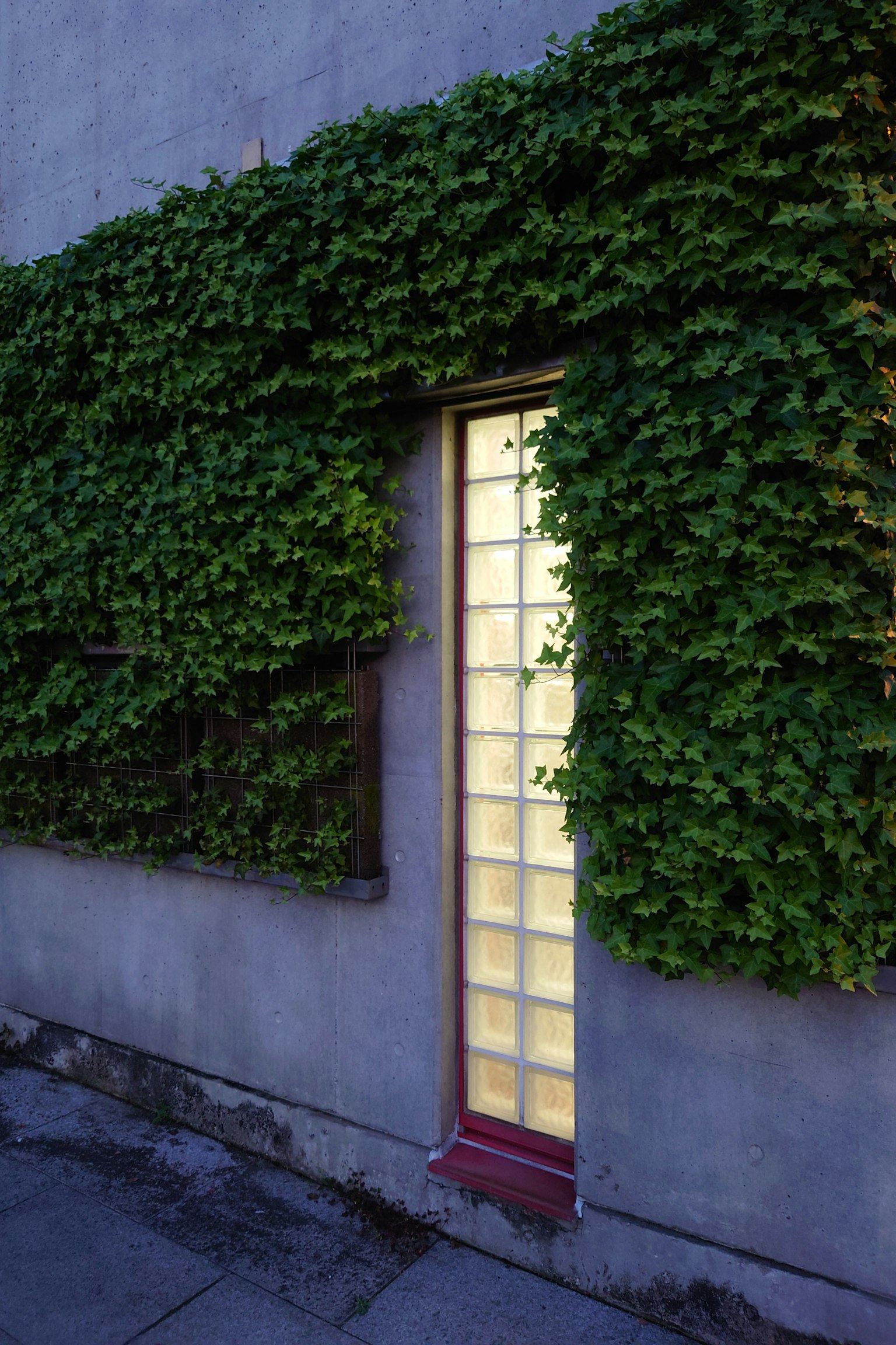 Porte en verre étroite entourée de lierre vert sur un mur