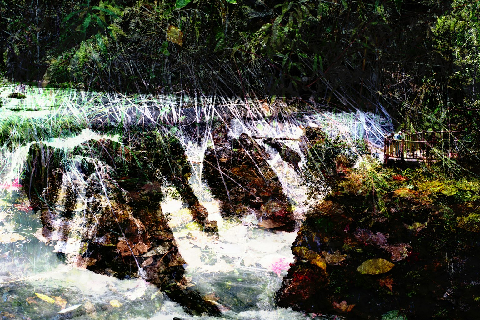 A beautiful waterfall flowing over rocks in a natural setting surrounded by lush greenery