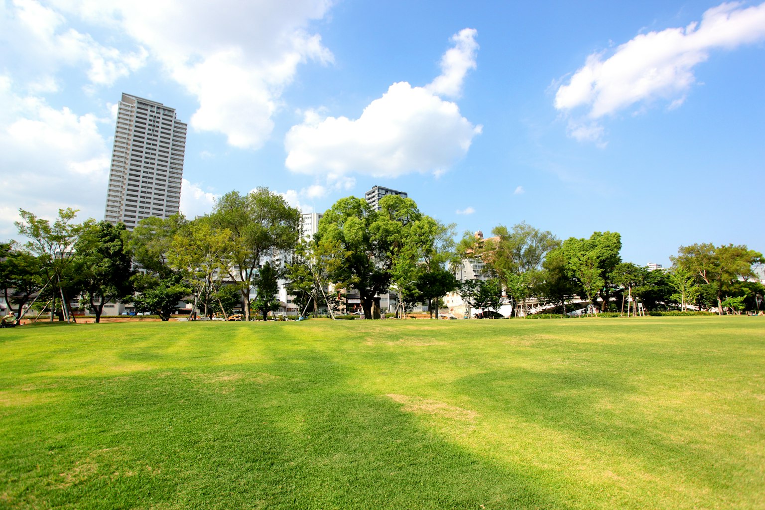 蓝天下高楼大厦与绿色公园的景观