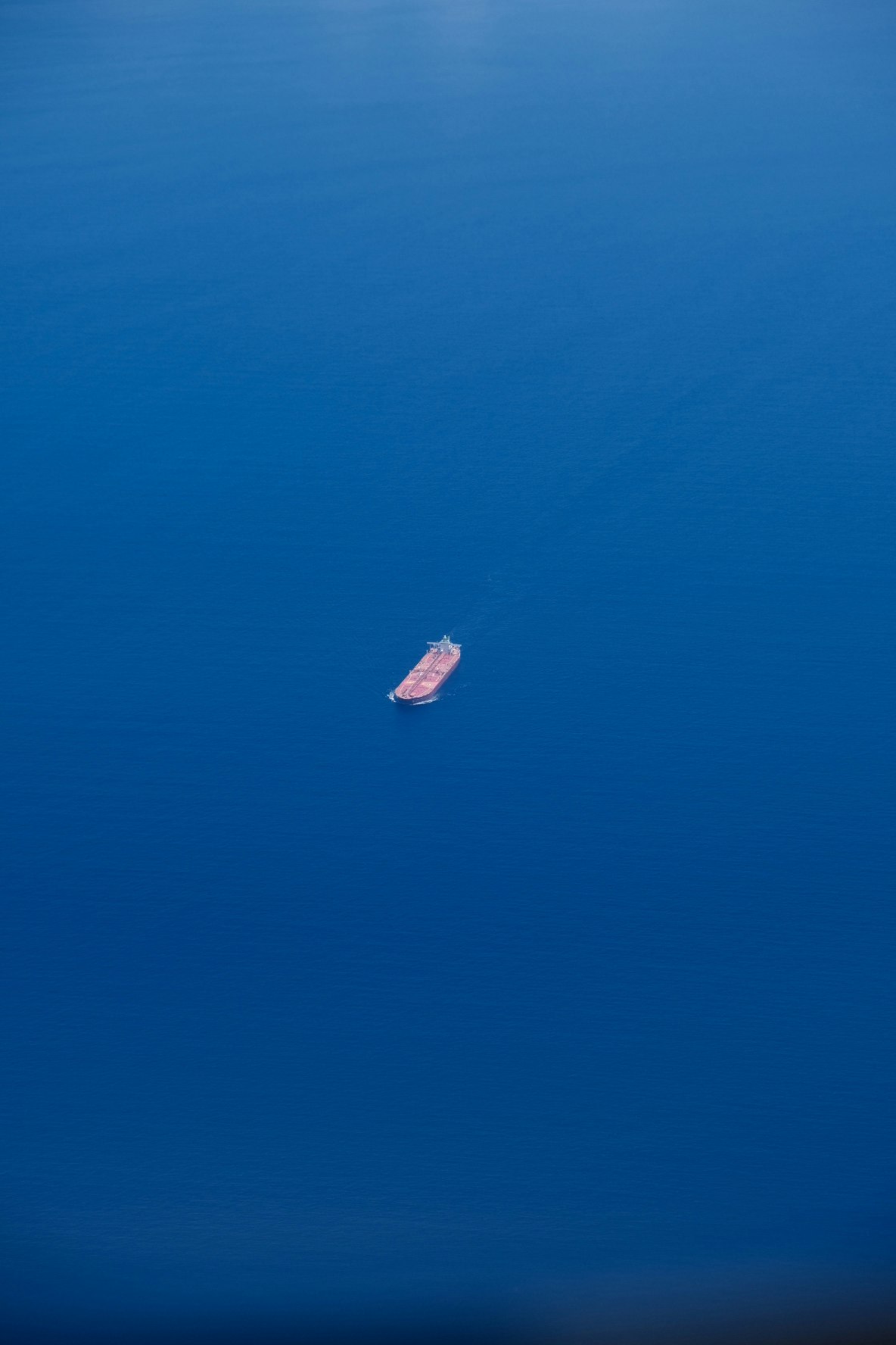 青い海に浮かぶ小さな魚