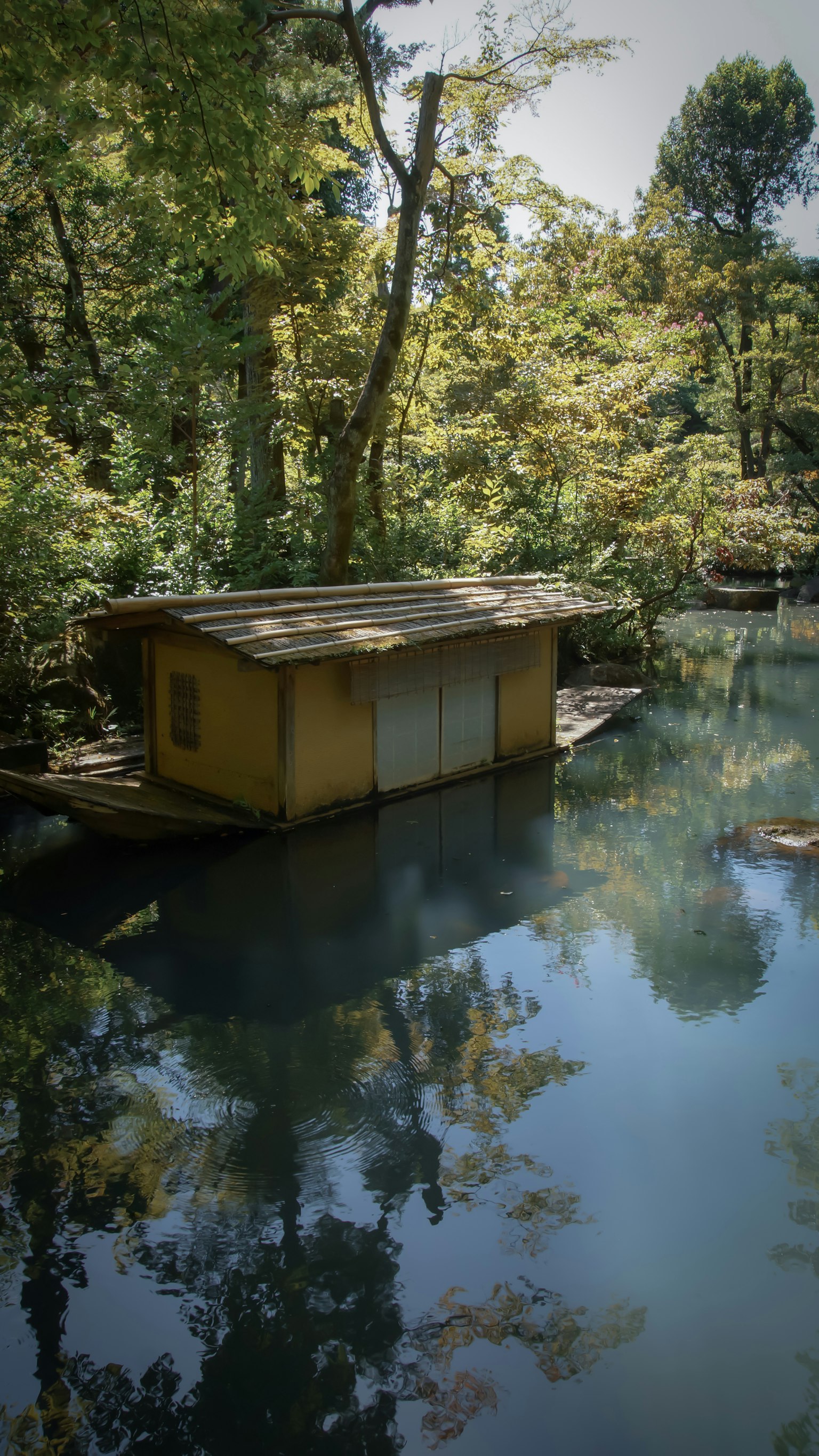 Yellow cabin floating on a serene pond surrounded by green trees