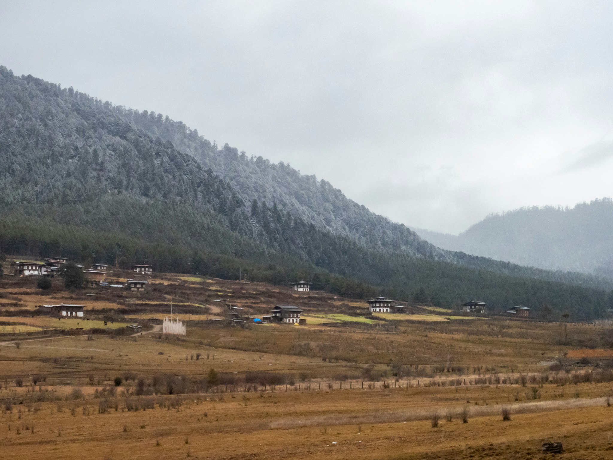 山あいの谷に広がる集落と畑の風景