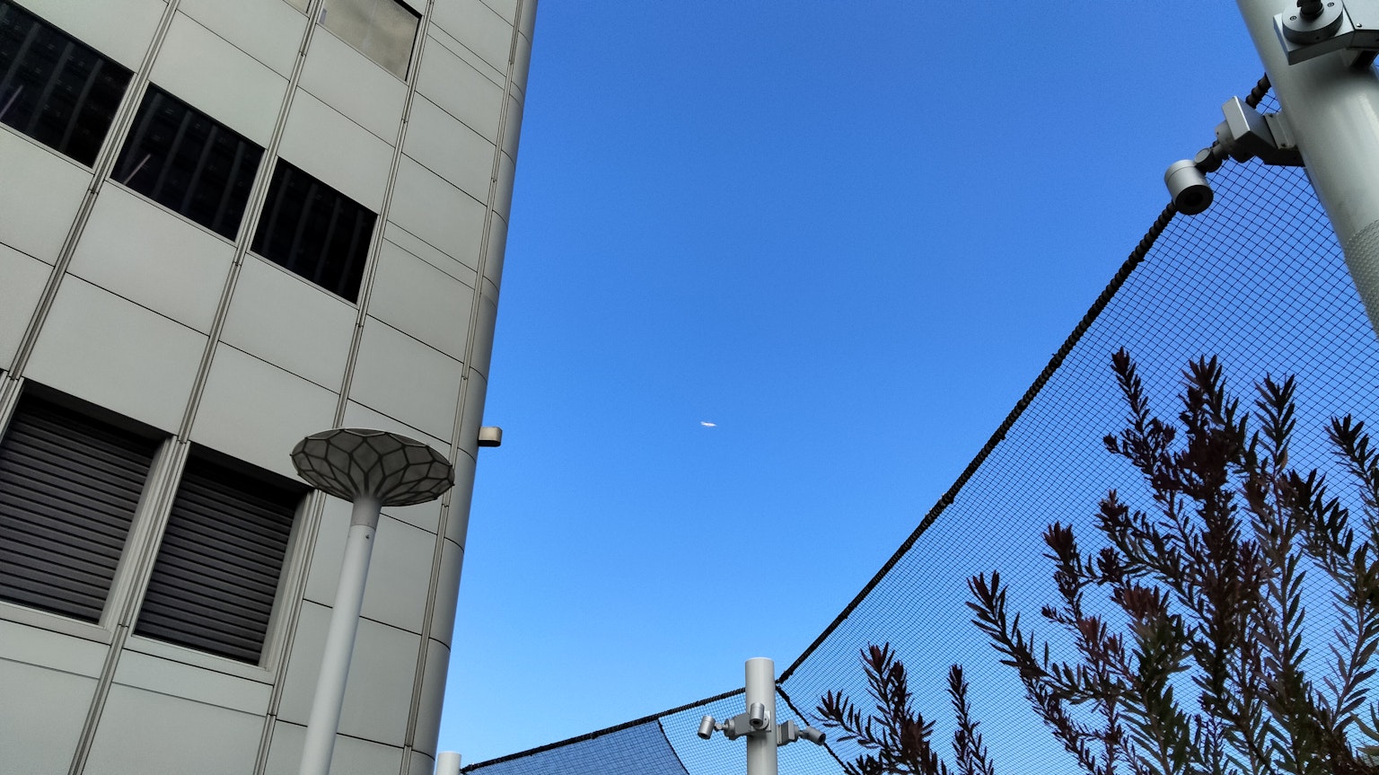 Pemandangan gedung tinggi dan tanaman di bawah langit biru