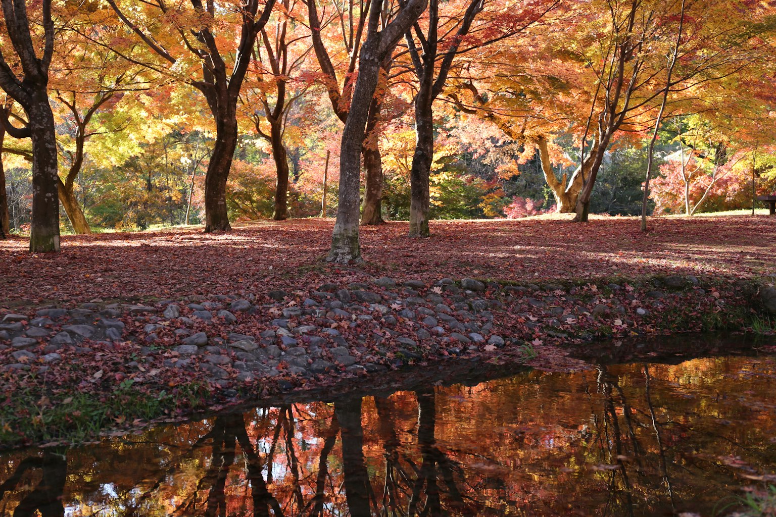 Scenic view of a park in autumn with beautiful foliage reflecting on the water