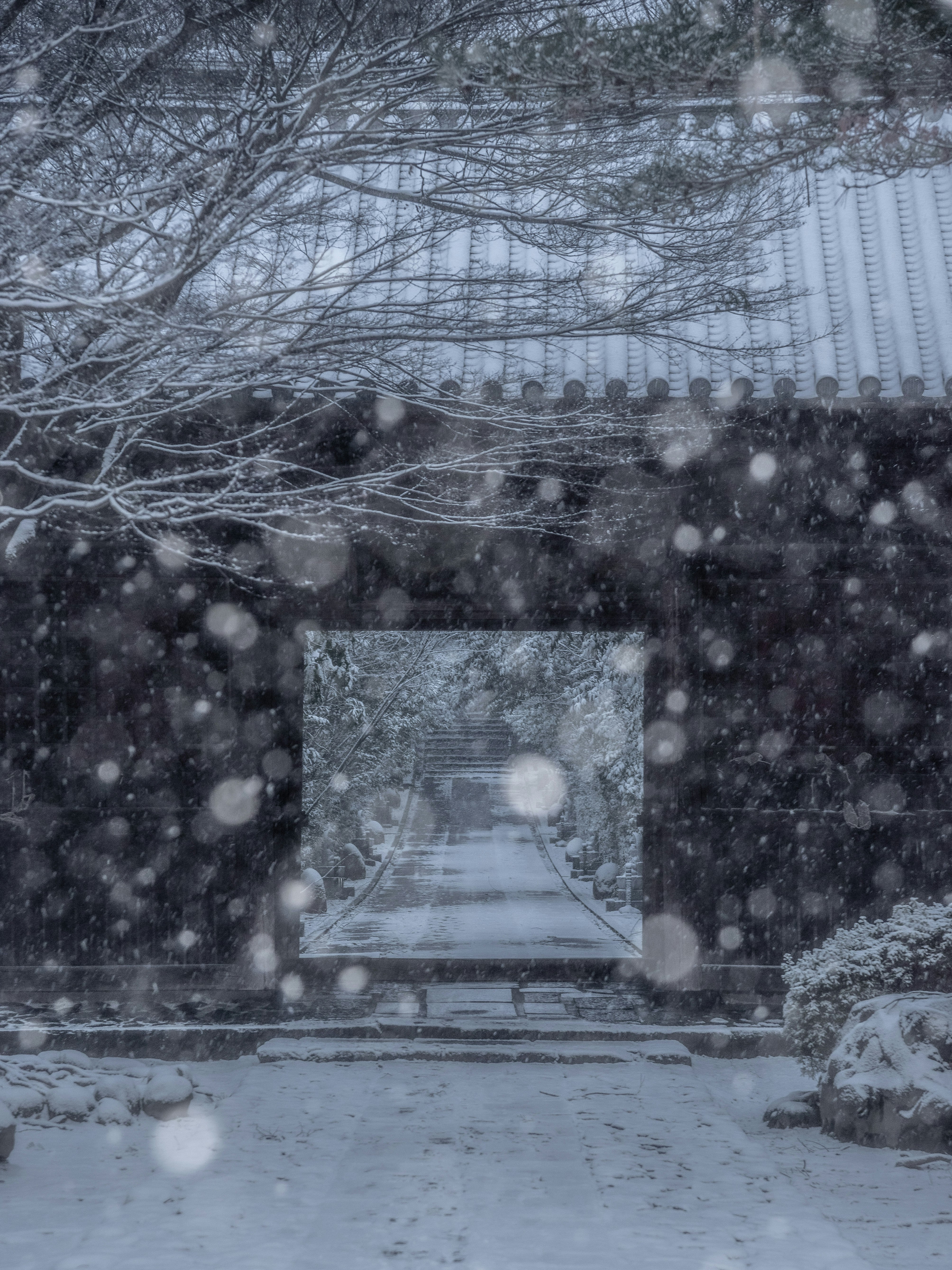 雪の降る寺院の参道と石段