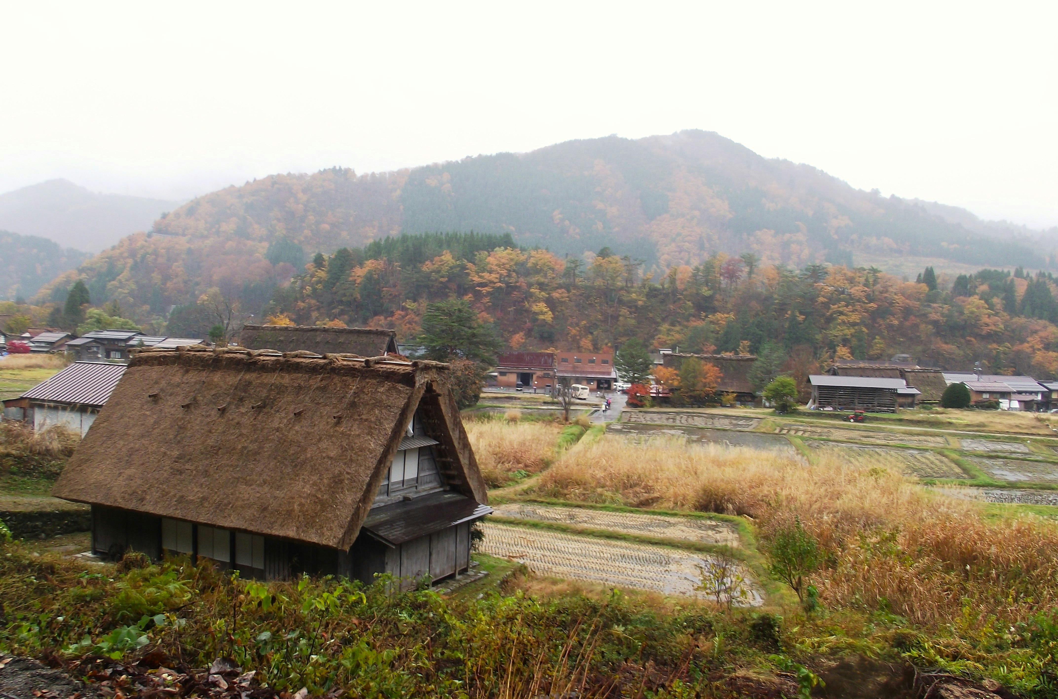 秋季山谷里的茅草屋传统民居与田野景色