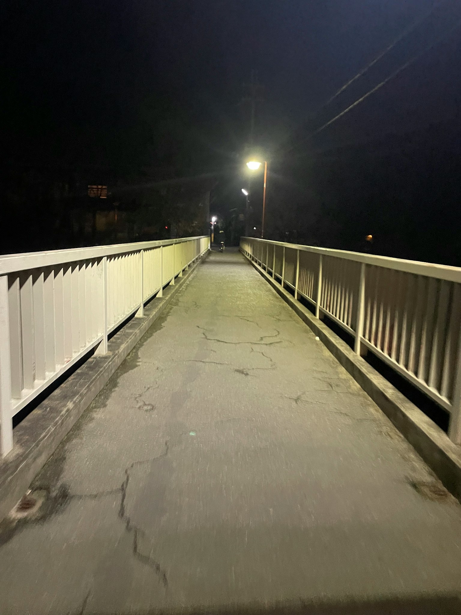 Vista notturna di un ponte pedonale con parapetti bianchi e lampioni