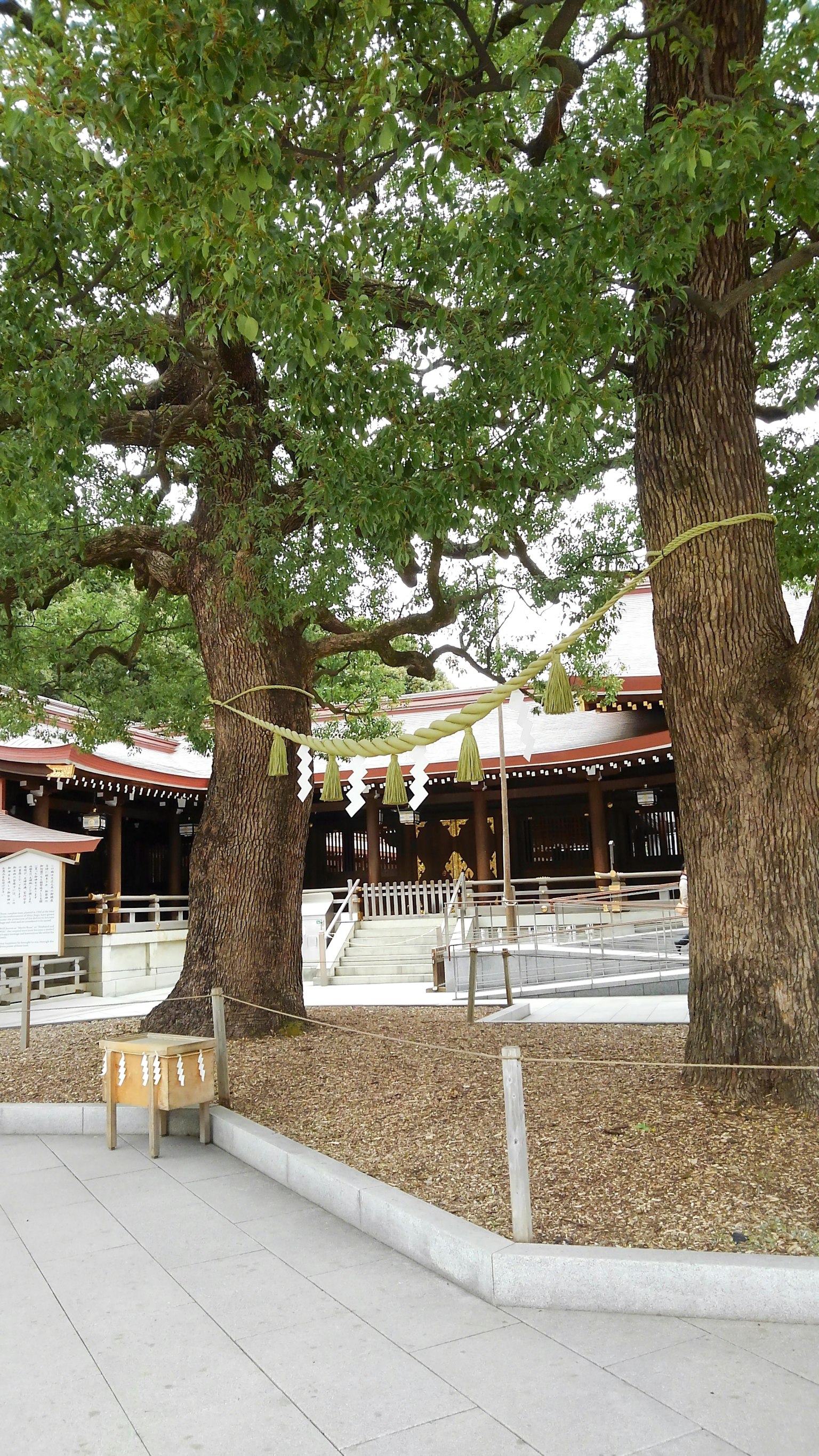 Two large trees in the shrine grounds with surrounding scenery