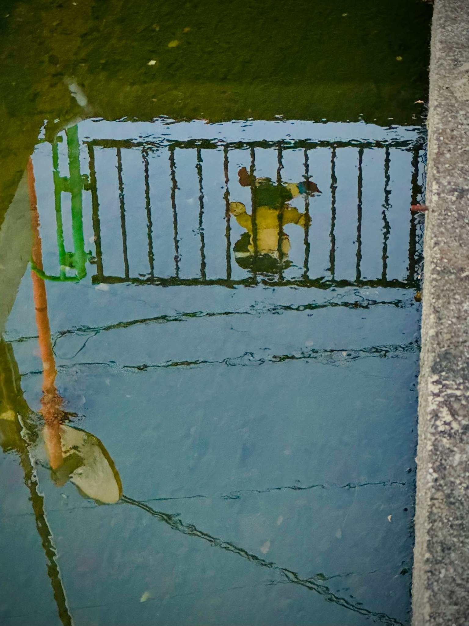 水面に映る緑のフェンスと葉っぱの反射