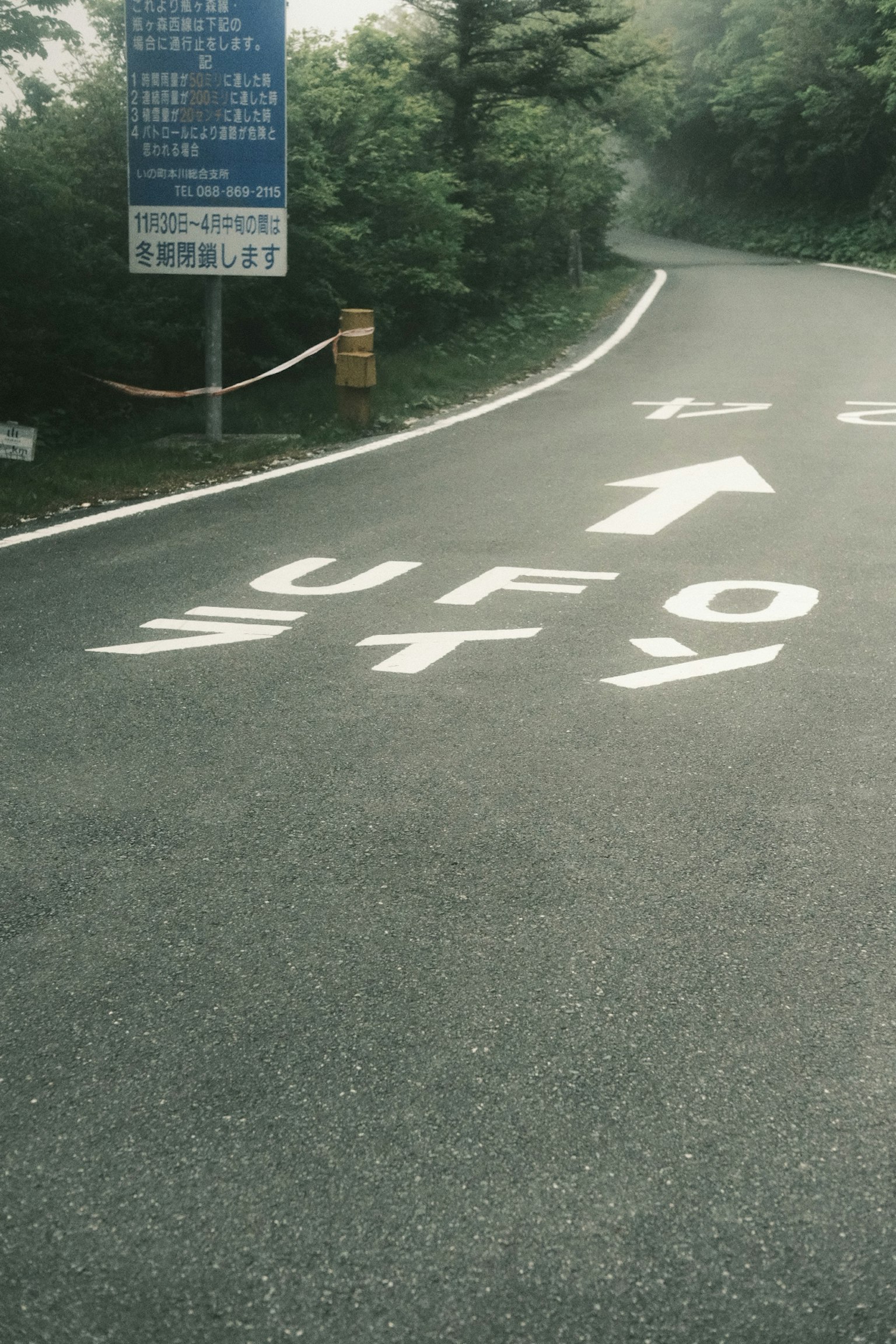 Strada con segnale UFO dipinto e vegetazione circostante