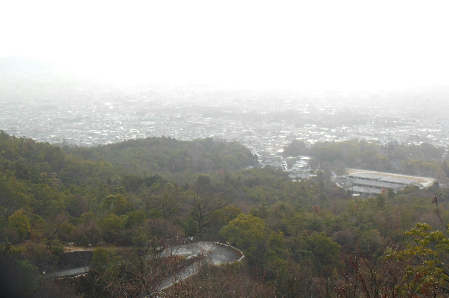 View from a mountain shrouded in fog showing city and greenery