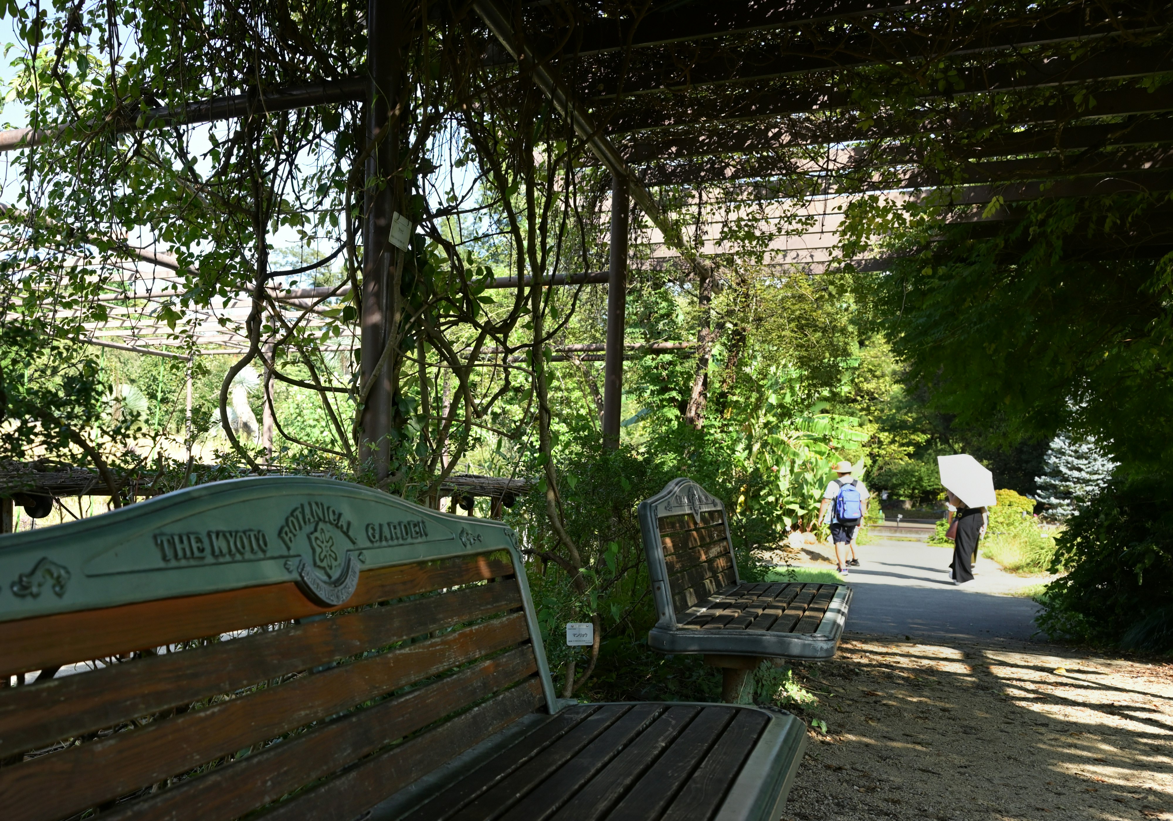 Kyoto Botanical Garden shaded bench area with people resting on a garden path