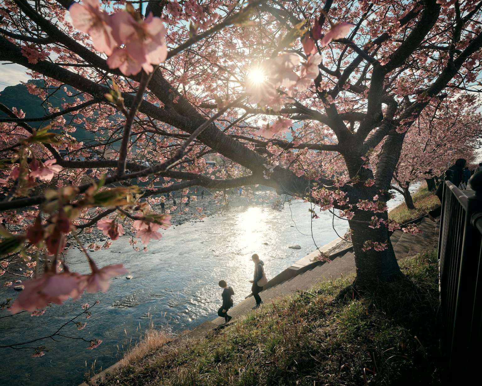 photo-TsKJNzsDokVgJet0FiVH-image