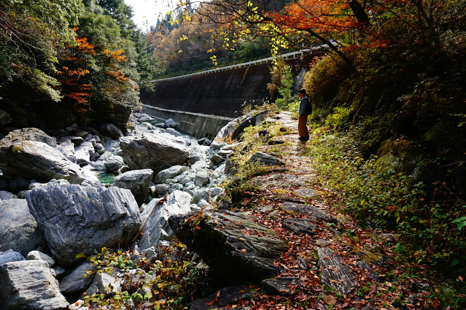A person standing by a scenic river with colorful autumn trees