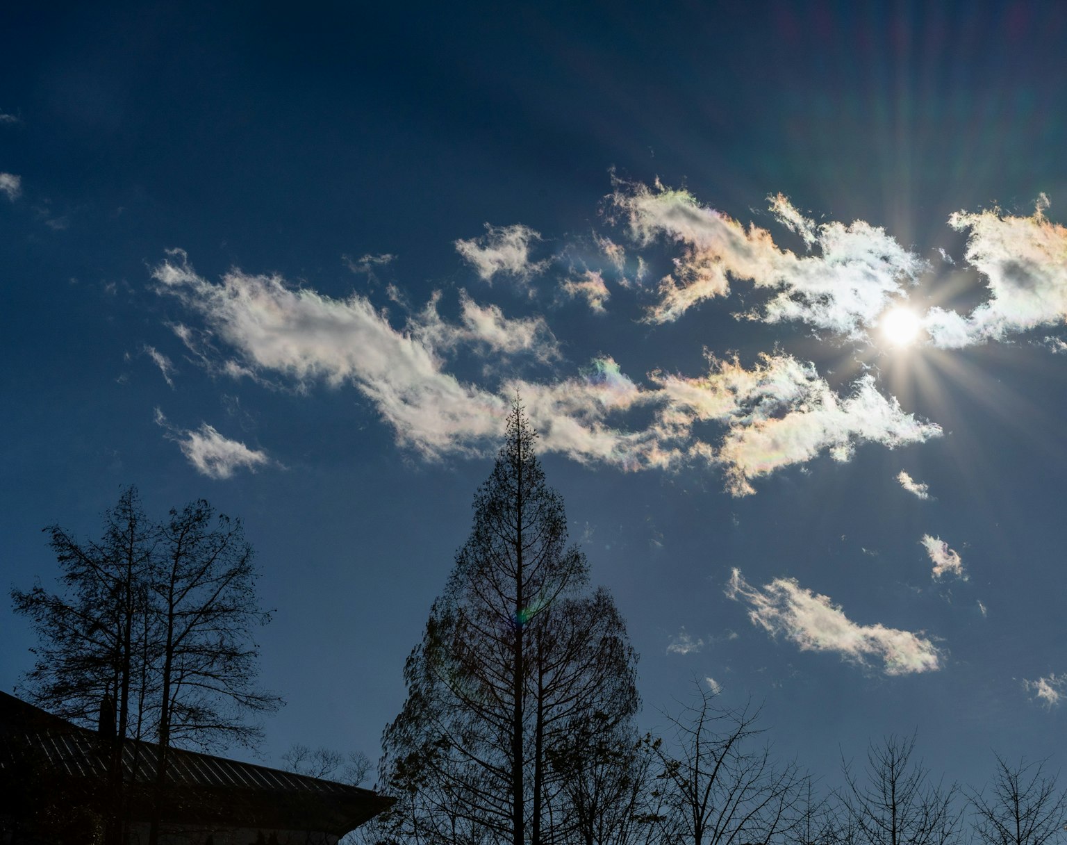 Panoramablick auf den blauen Himmel mit weißen Wolken strahlendes Sonnenlicht, das durch silhouettierte Bäume scheint