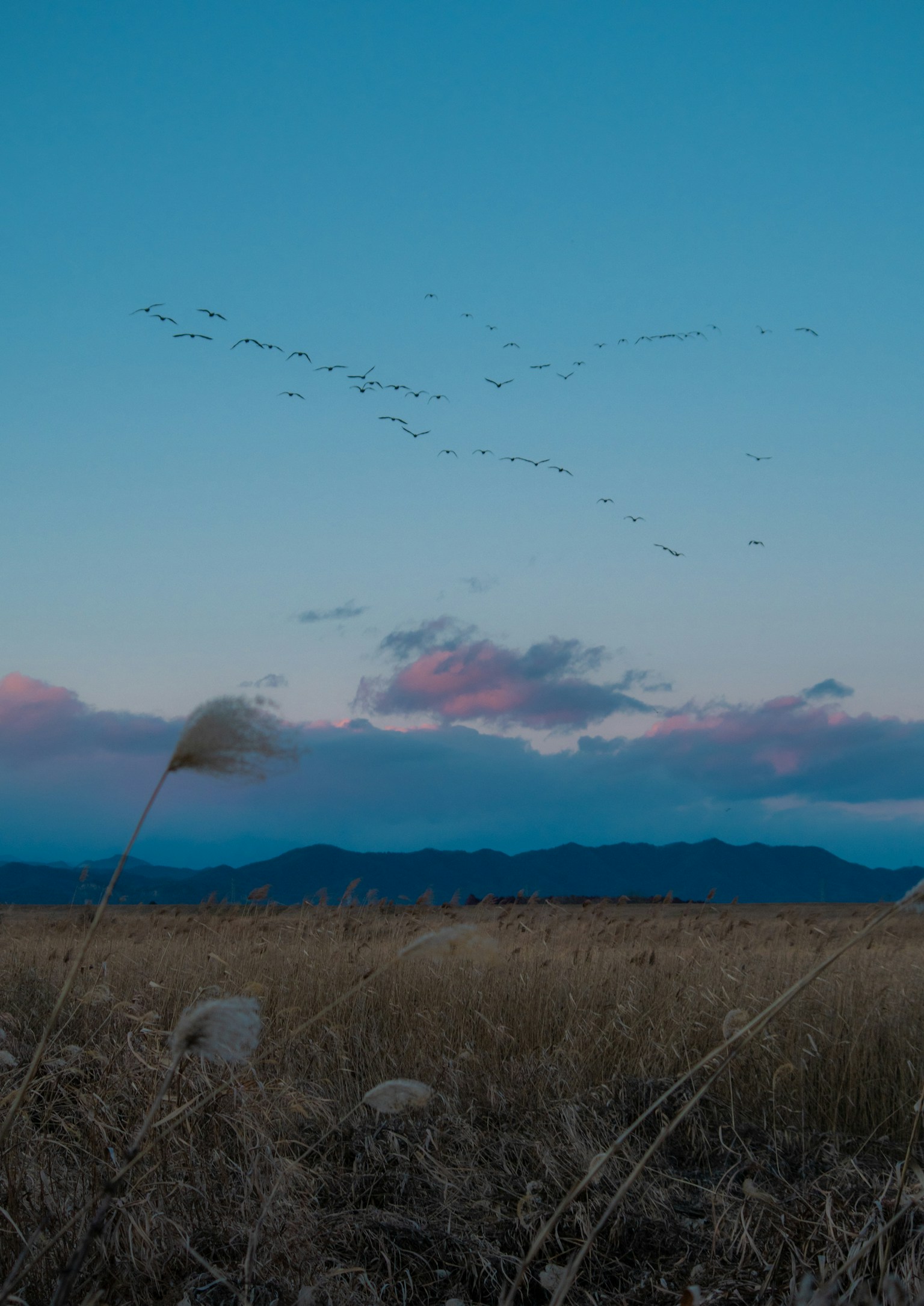 photo-Tsqh95mds30PyTszodEy-image