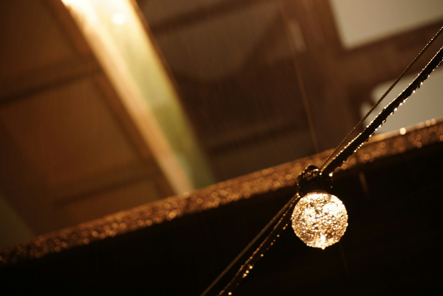 A decorative light ball glistening in the rain with a blurred background