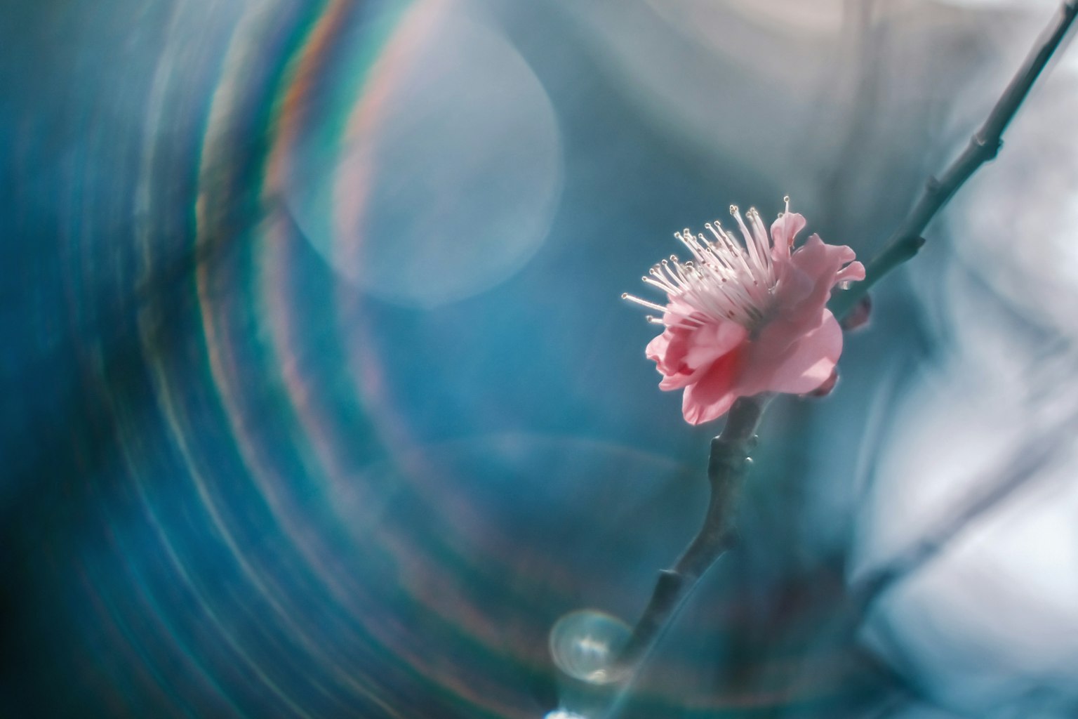 photo-Ttb36drUT8i14TGI7F7N-image