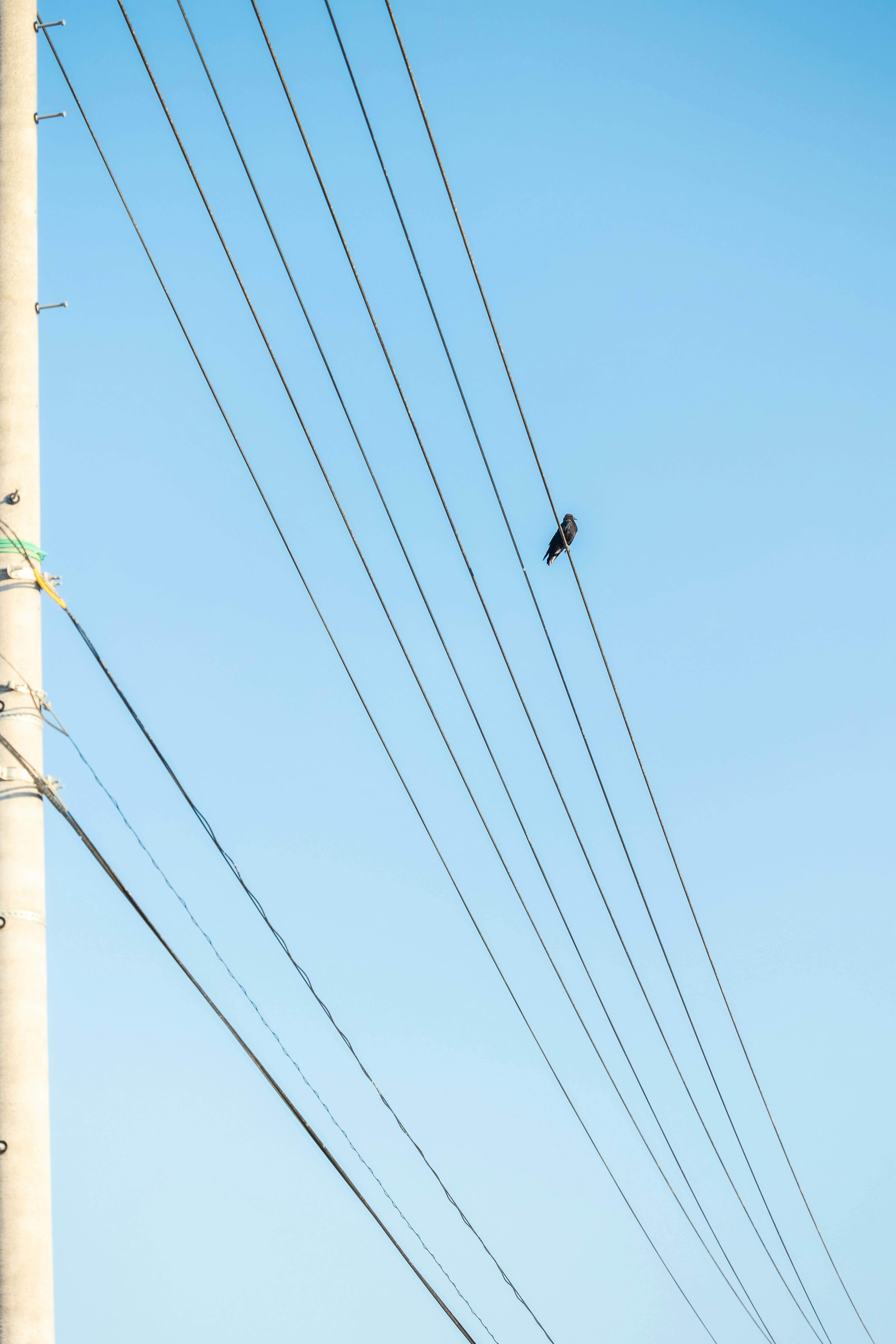 青空に伸びる電線と電柱