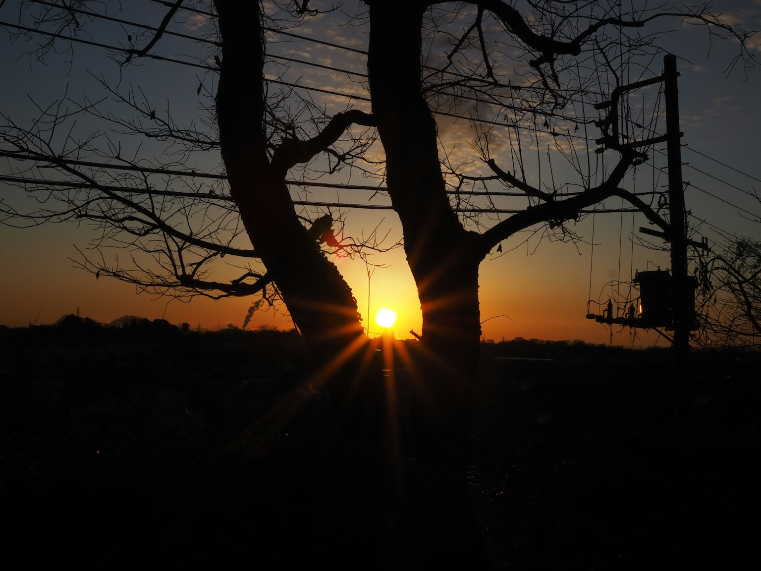 Silhouette of trees and a utility pole with a sunset