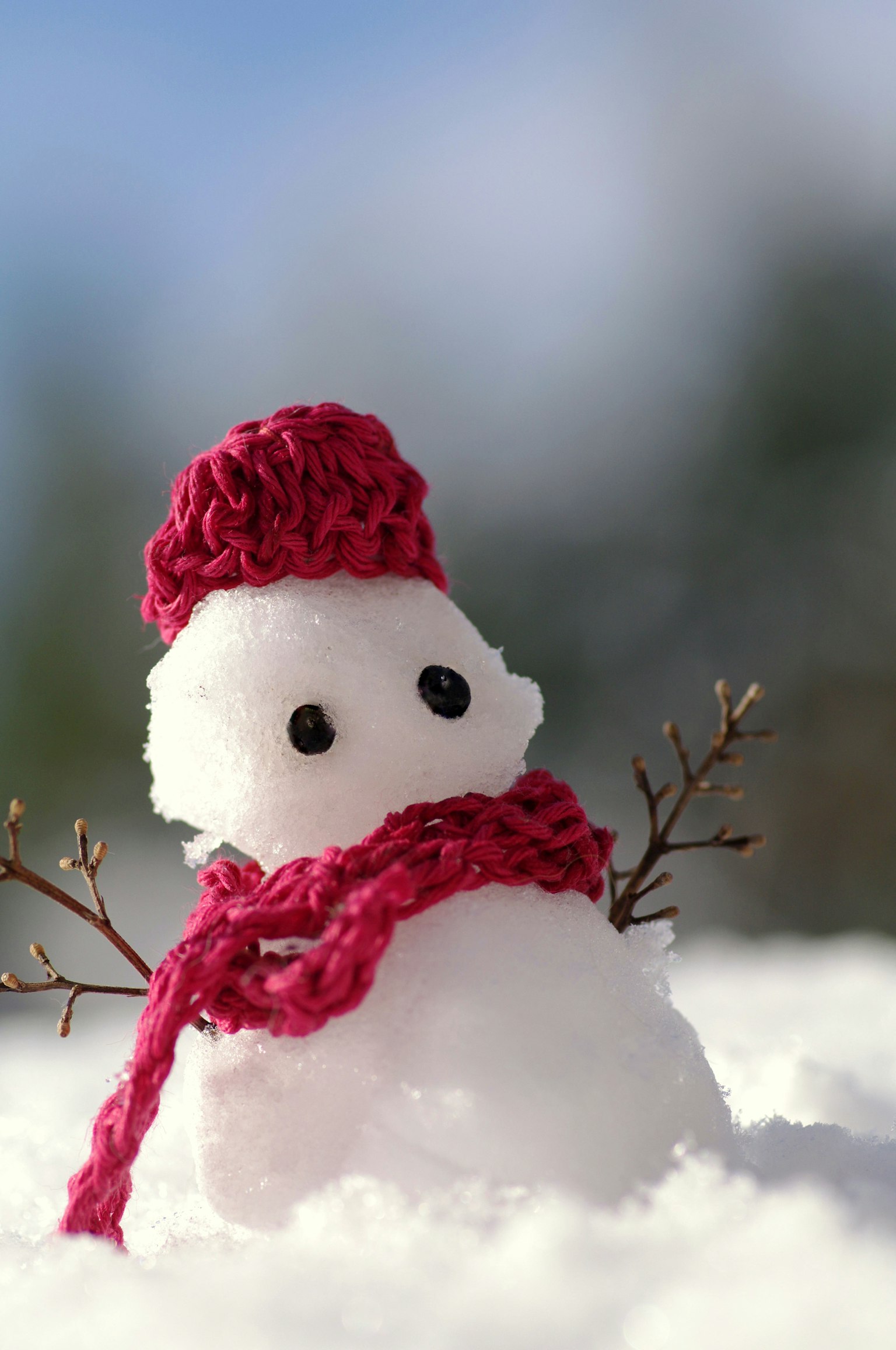 Cute snowman wearing a red hat and scarf