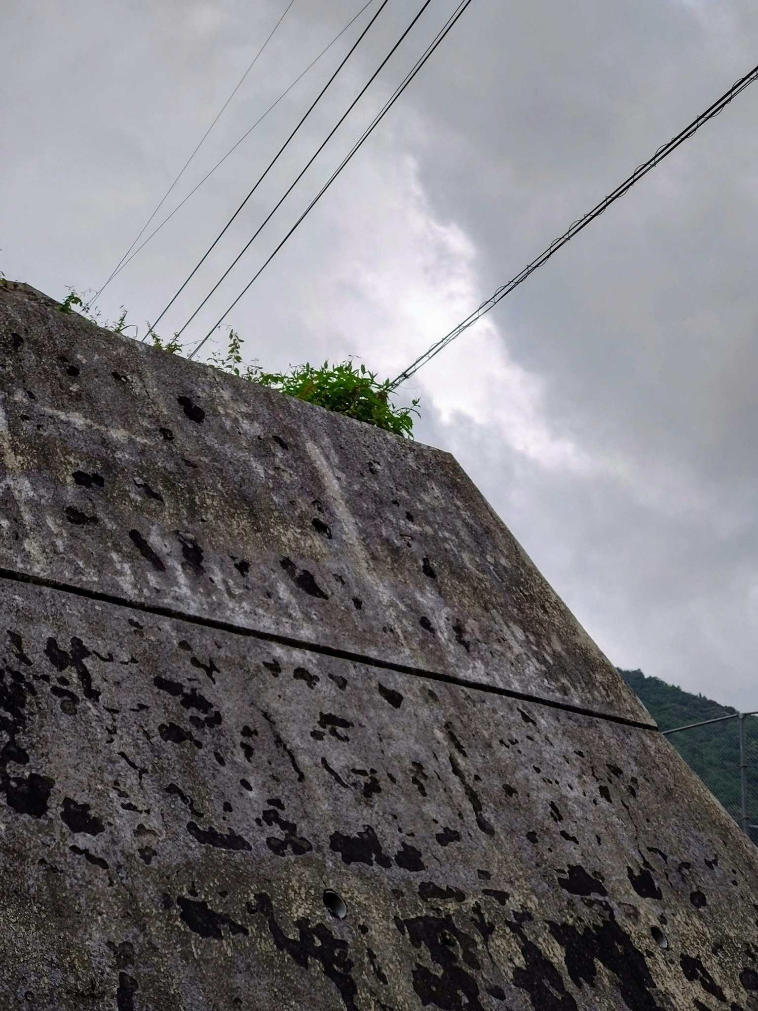 Pared de concreto con plantas y cielo nublado