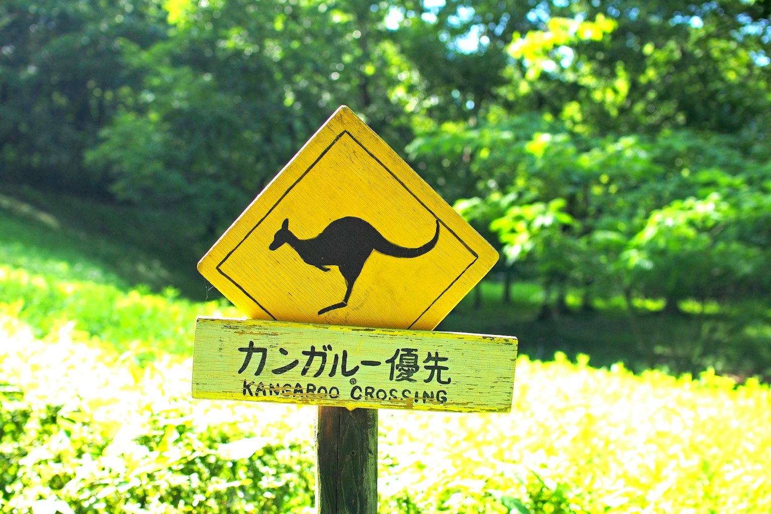 Biển báo vượt qua của kangaroo trên nền xanh