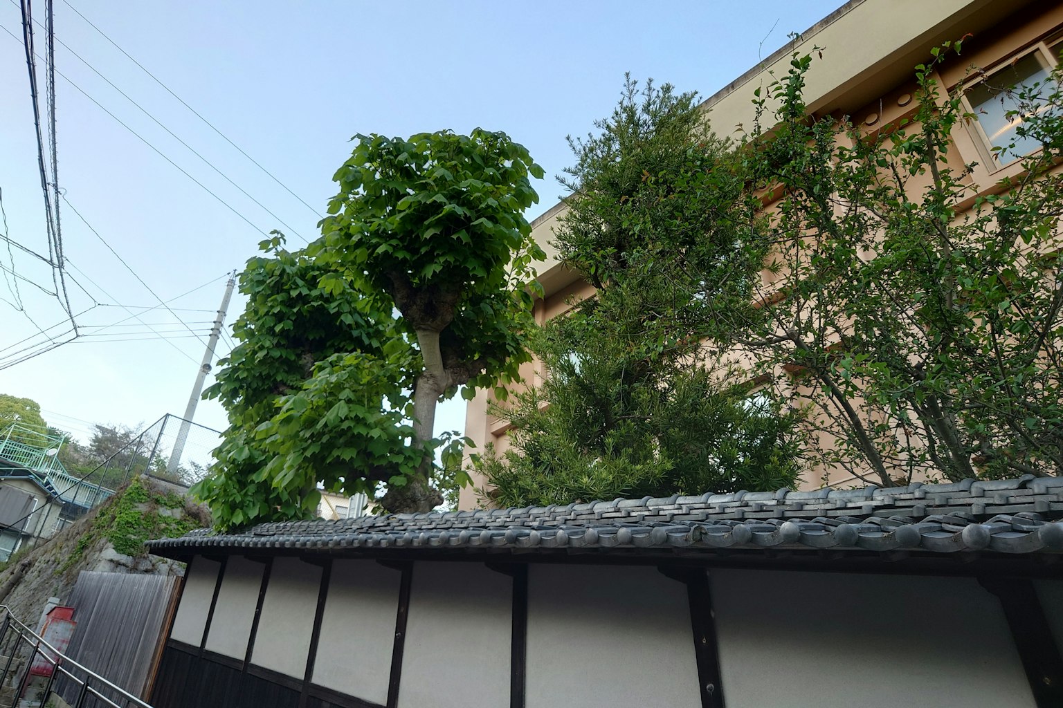 Pohon hijau subur dan dinding tradisional di bawah langit biru