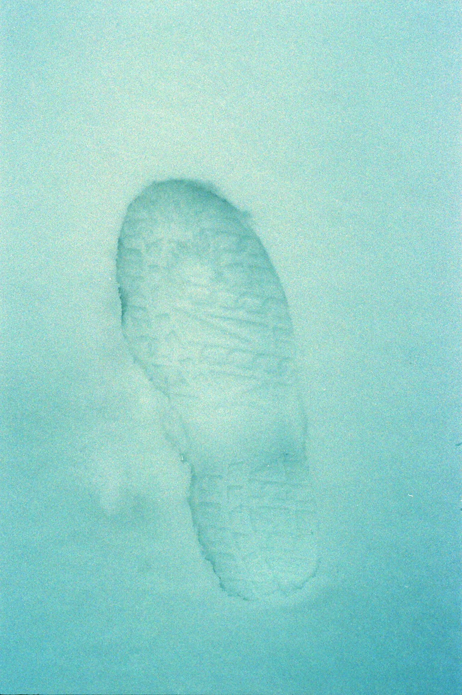 雪中足迹的特写