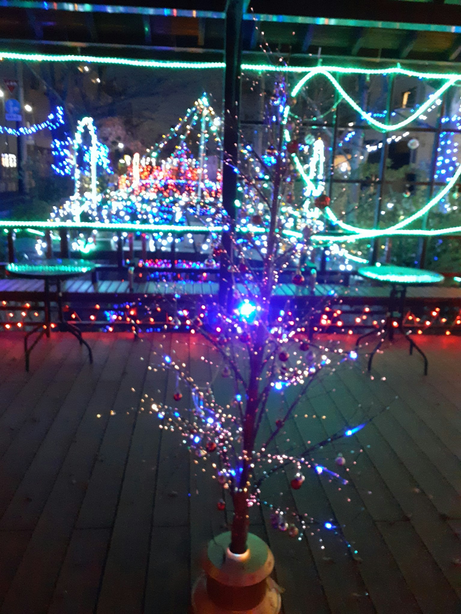 Piccolo albero luminoso circondato da luci colorate