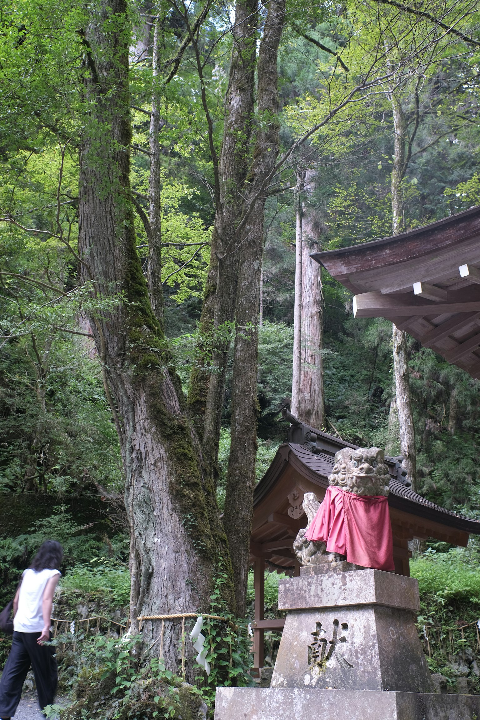 宁静森林中的石像和古老神社的景色