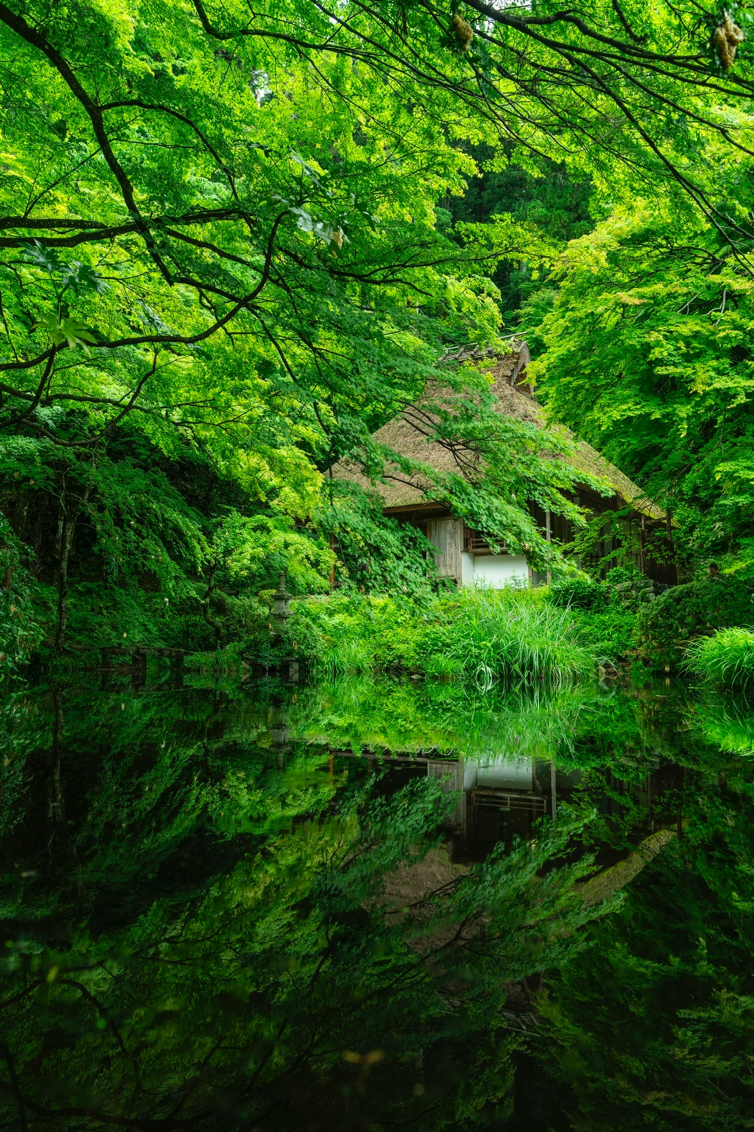 A cottage surrounded by lush greenery reflected in calm water