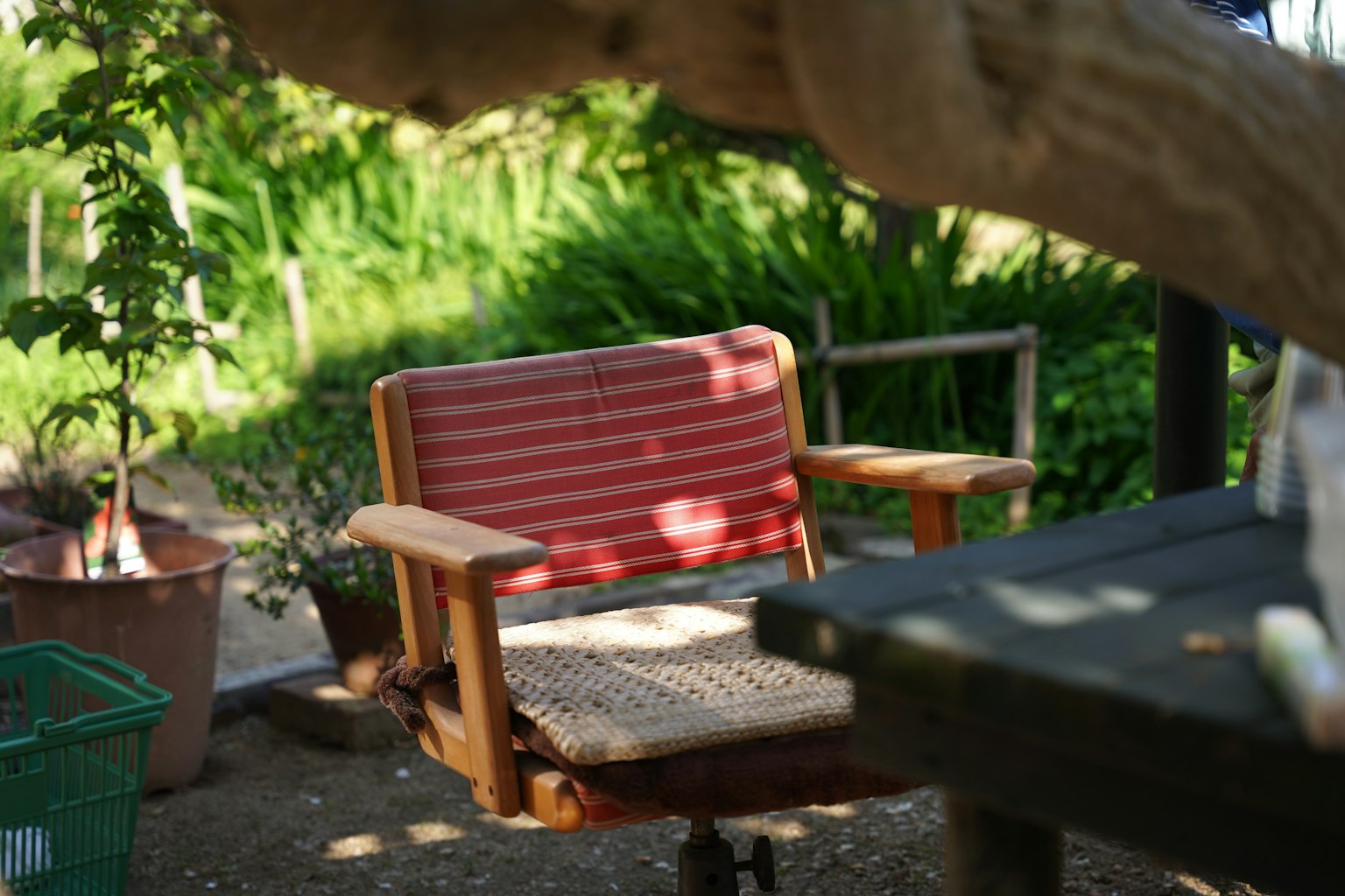 녹색 배경에 빨간 줄무늬 쿠션이 있는 나무 의자