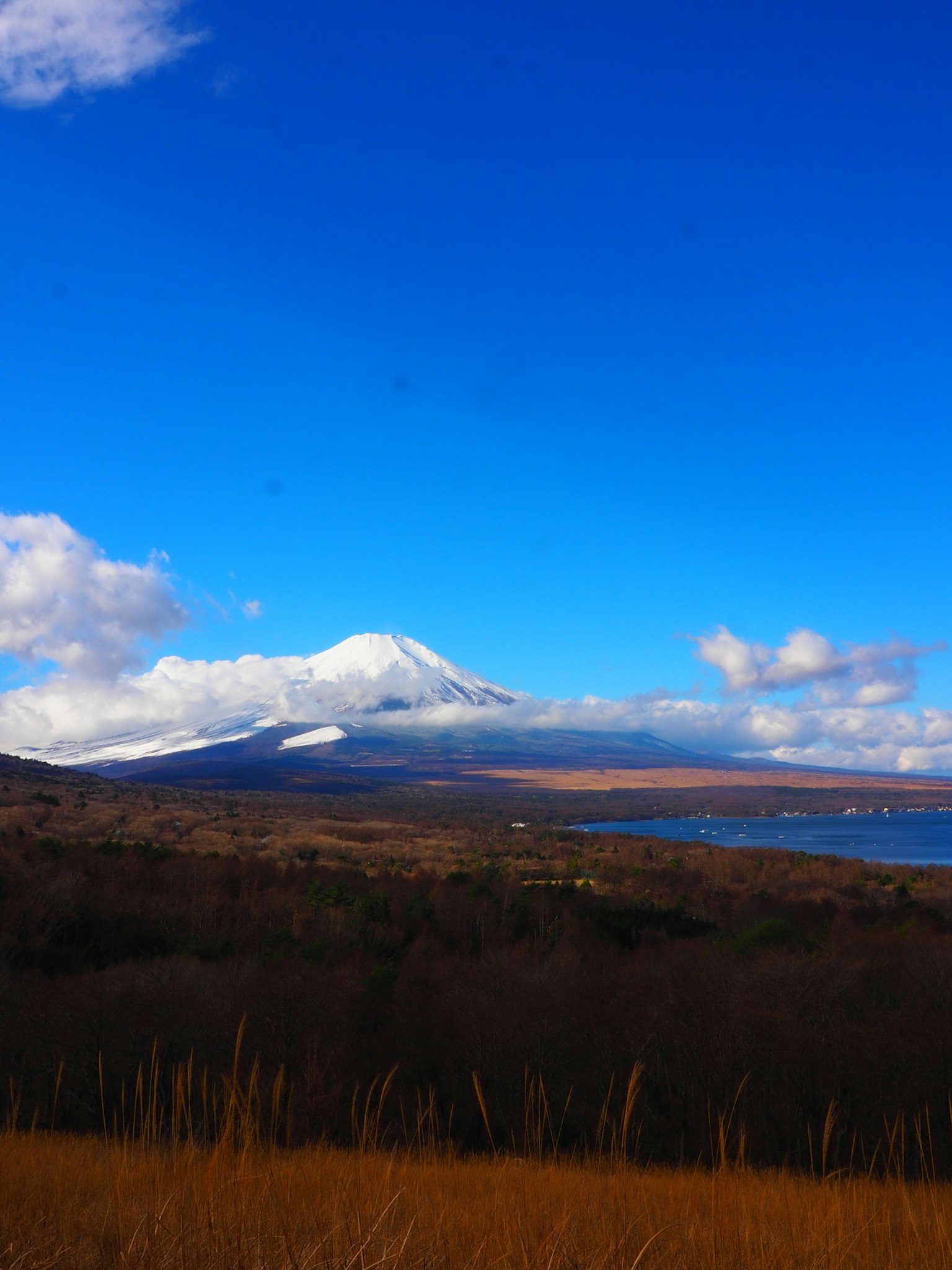 Mont Fuji enneigé sous un ciel bleu clair avec vue sur un lac