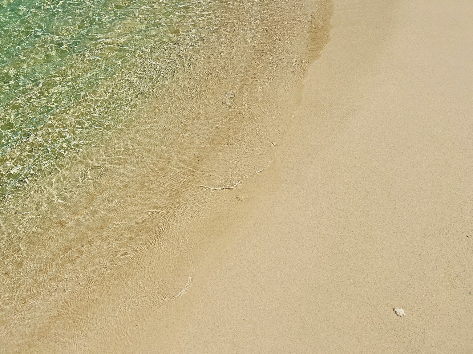 Eau claire de l'océan caressant doucement une plage de sable