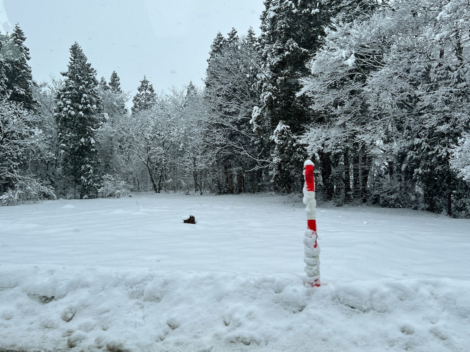 被雪覆盖的森林景观和红白标杆
