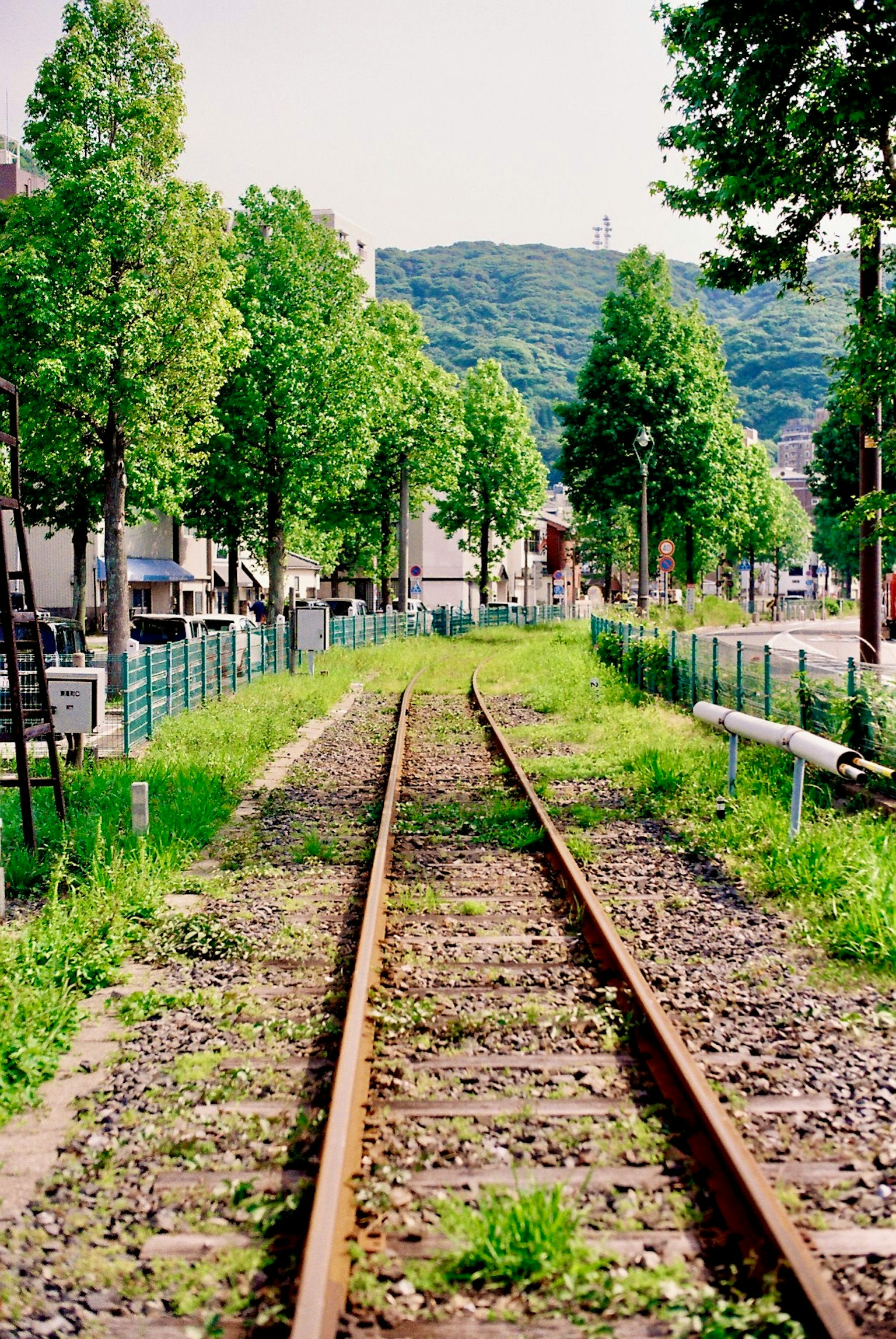 Scenic view of railway tracks surrounded by green trees