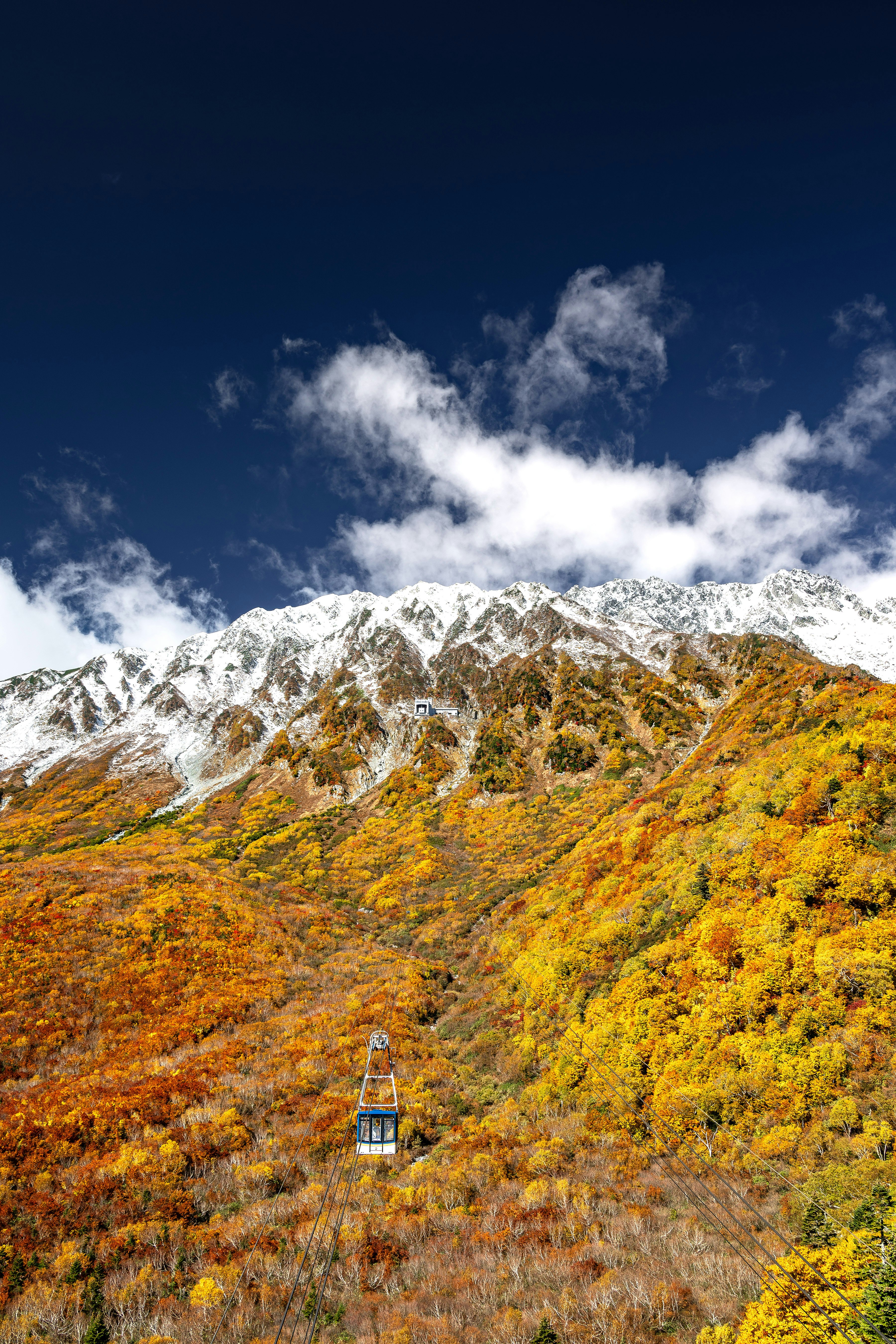 立山連峰の冠雪とタンボ平の紅葉