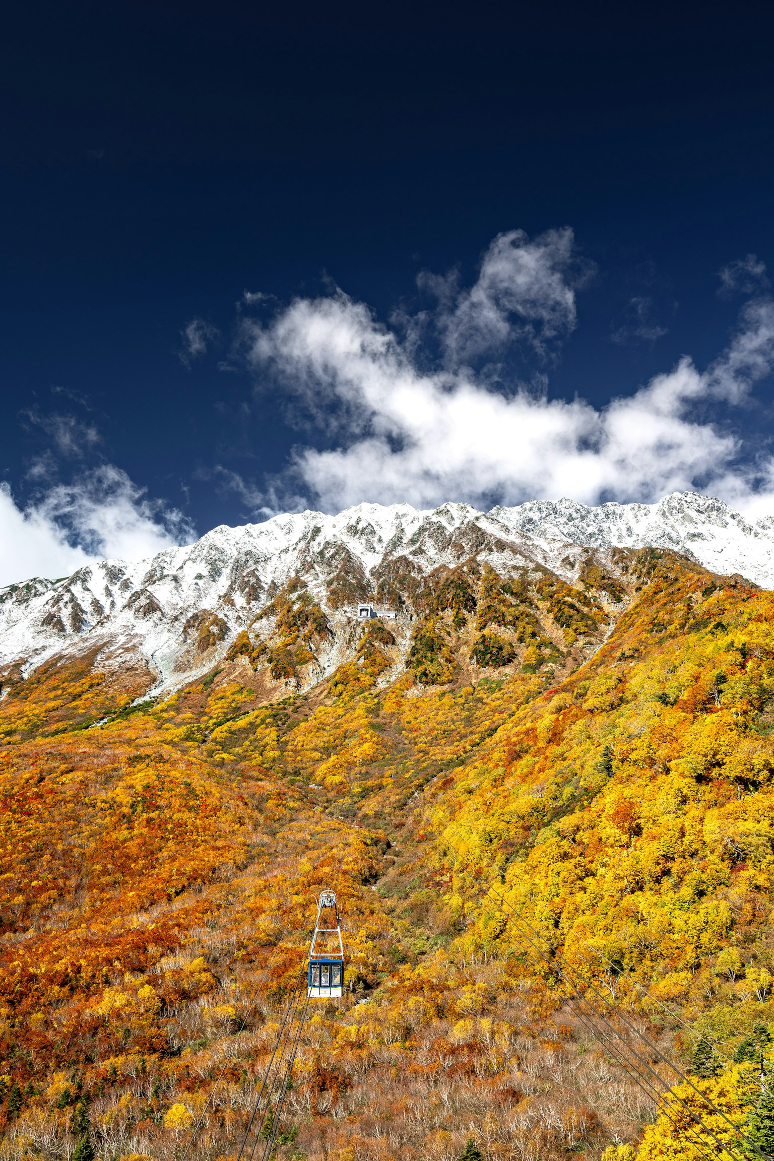 美しい秋の色で覆われた山の風景と雪を頂いた山々