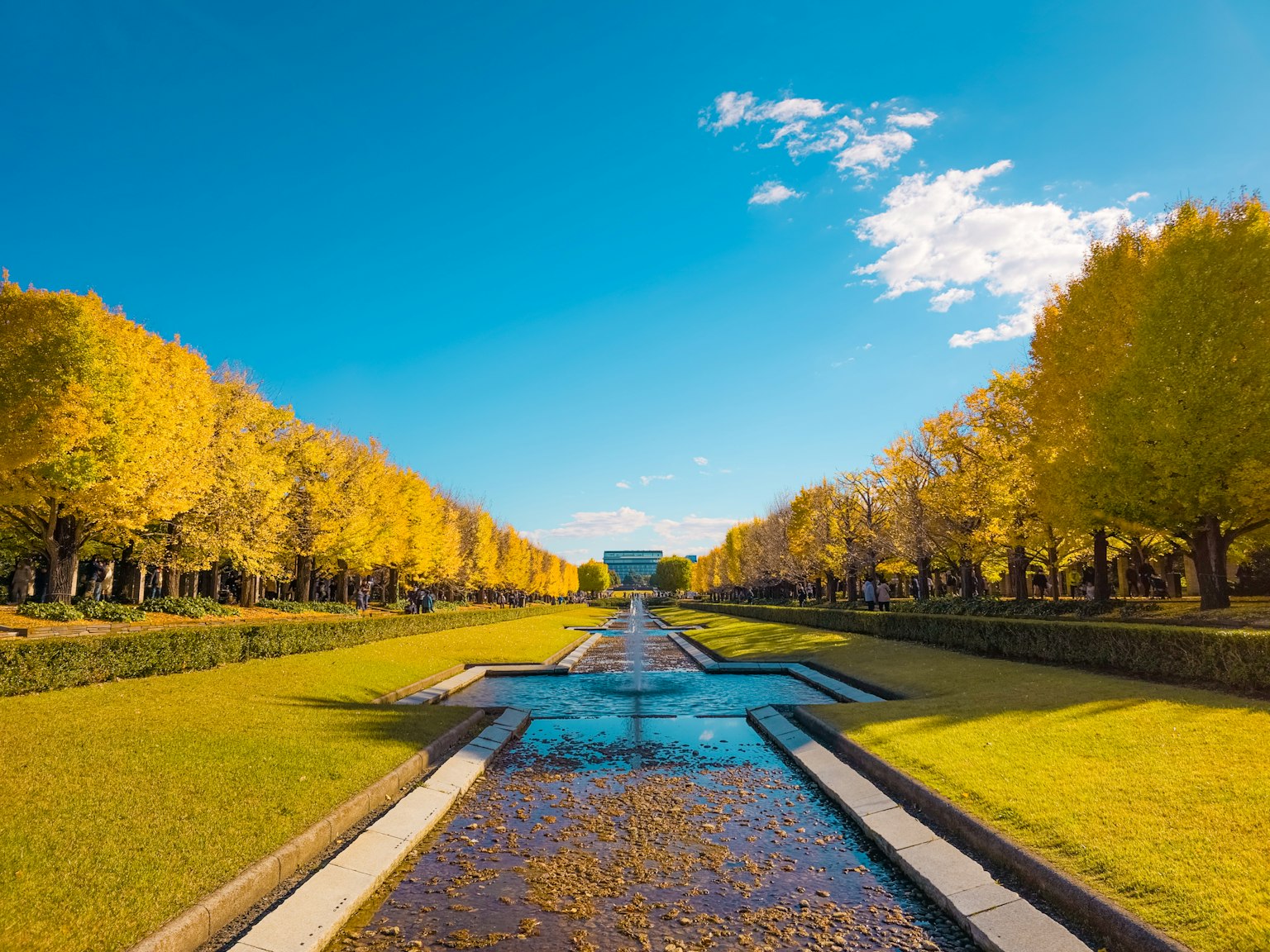 Bellissimo paesaggio autunnale del parco con alberi dorati e cielo blu con un ruscello centrale