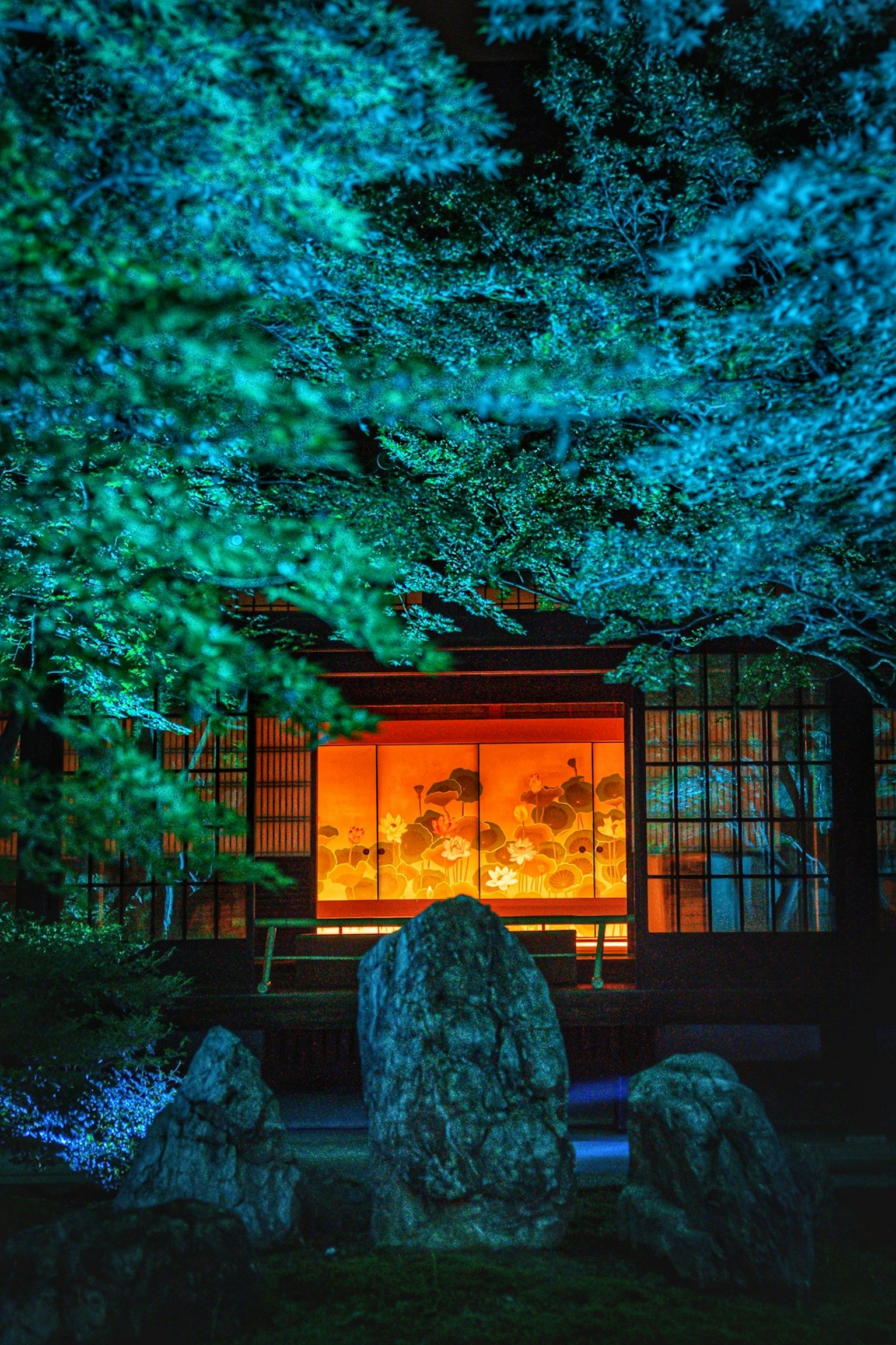 夜间照亮的日本风格房屋被蓝色树木环绕