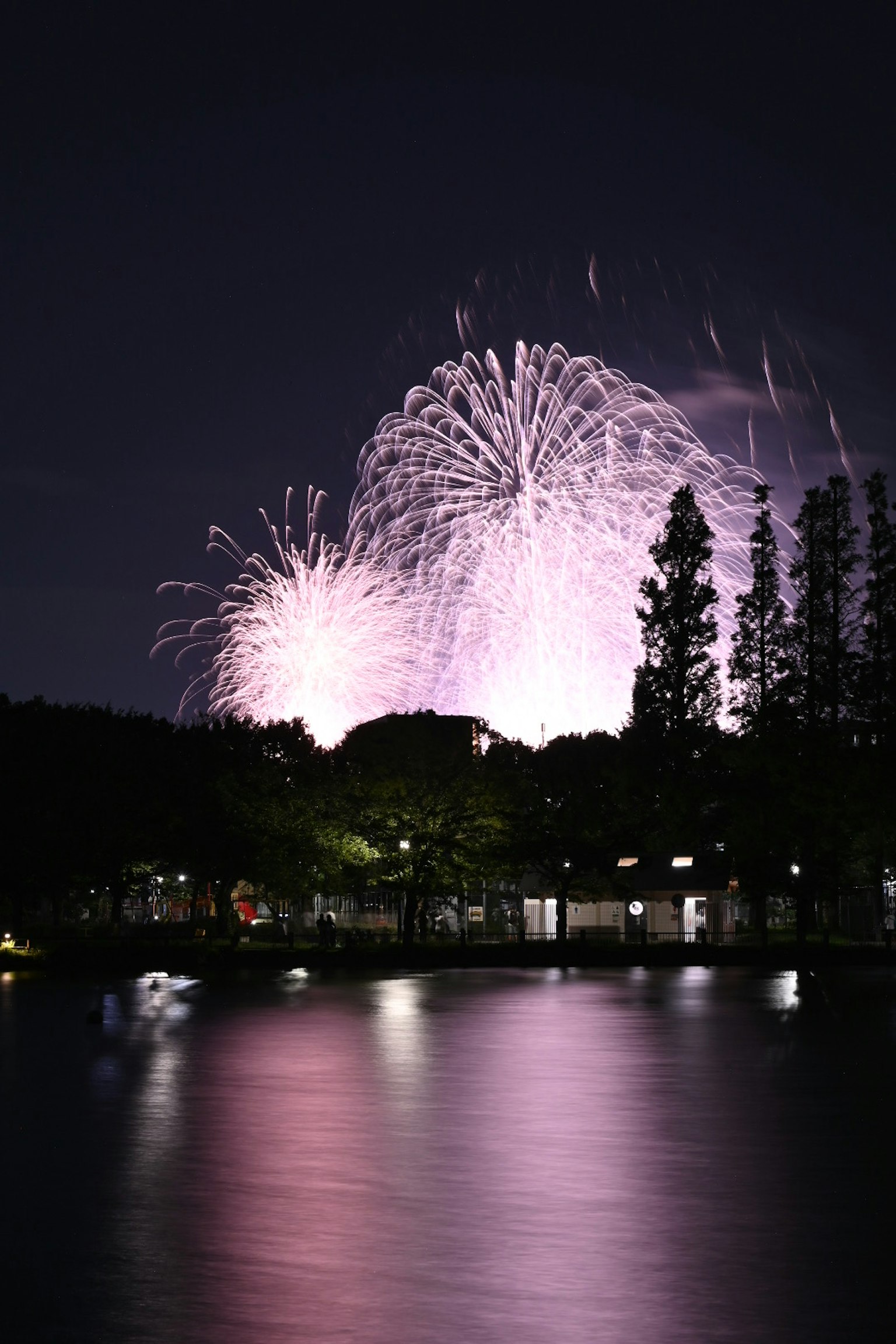 Feux d'artifice colorés éclatant dans le ciel nocturne avec des reflets sur l'eau