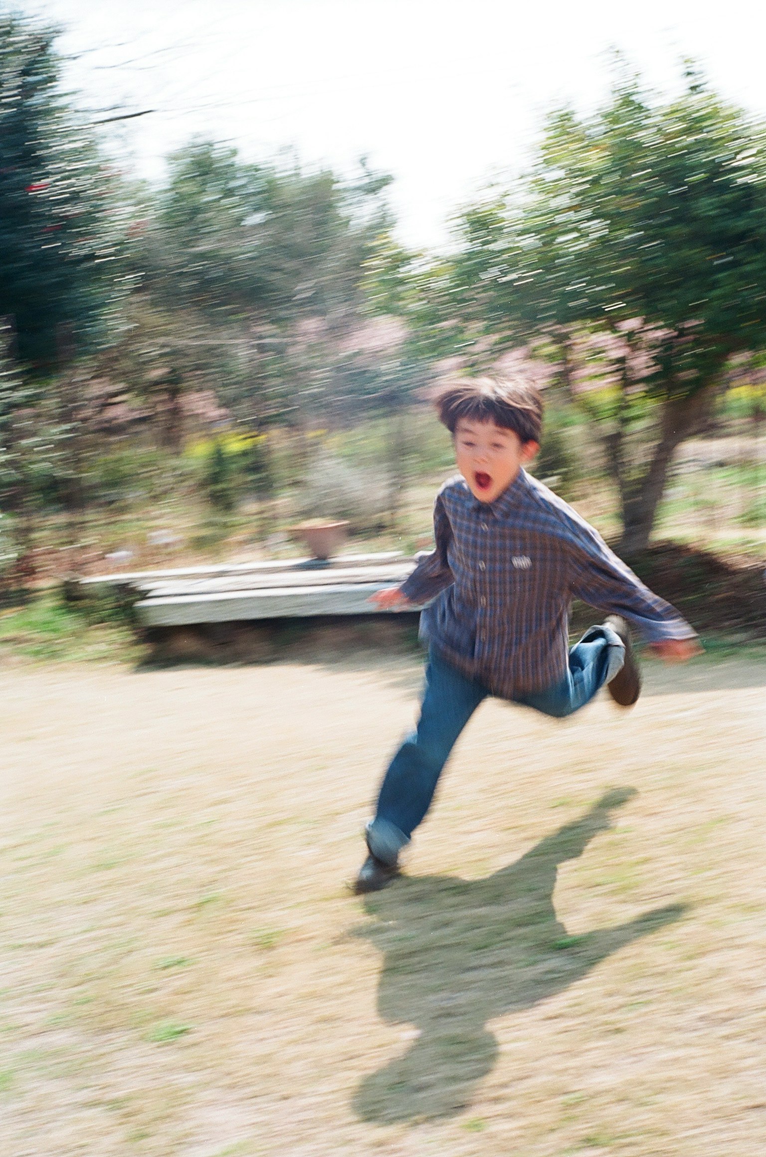 photo-TzBR1xSTGfwDYFpFKRD4-image