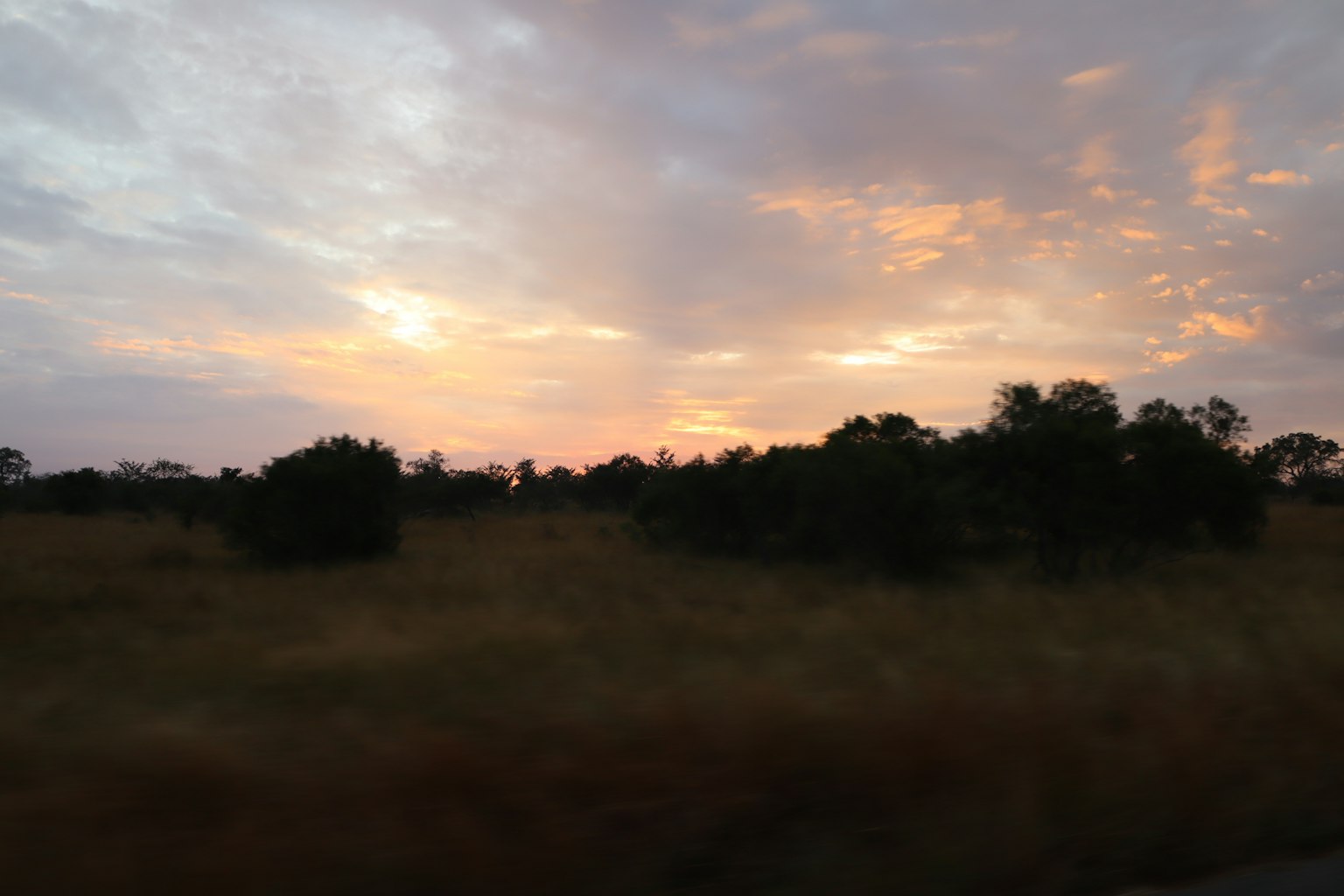 Cielo al atardecer sobre un campo de hierba con árboles en silueta