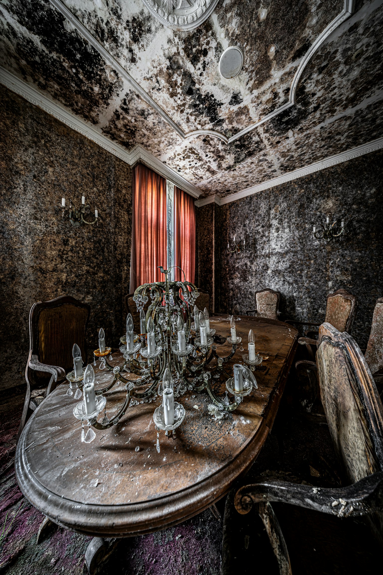 photo-TzOLUSxI0tfK8dgCaZJQ-image