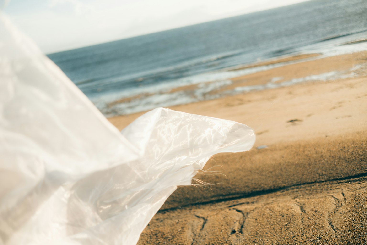 Un plástico transparente soplando al viento en una playa de arena con vistas al océano